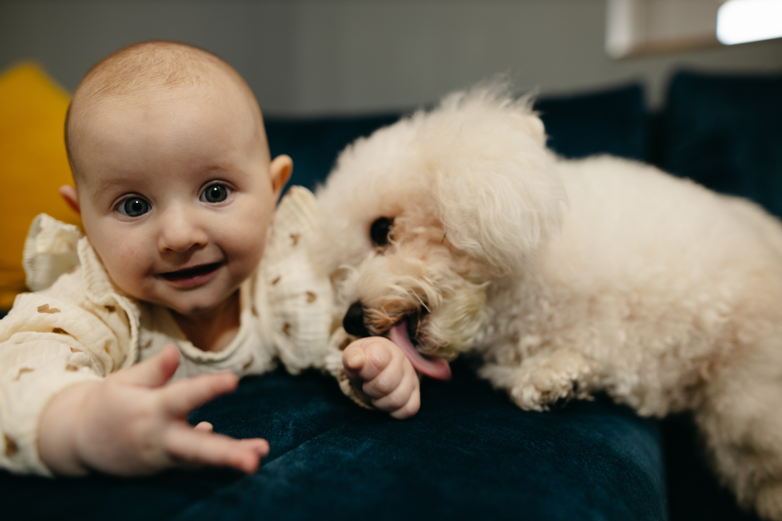Домашняя. Свадебный и женский фотограф