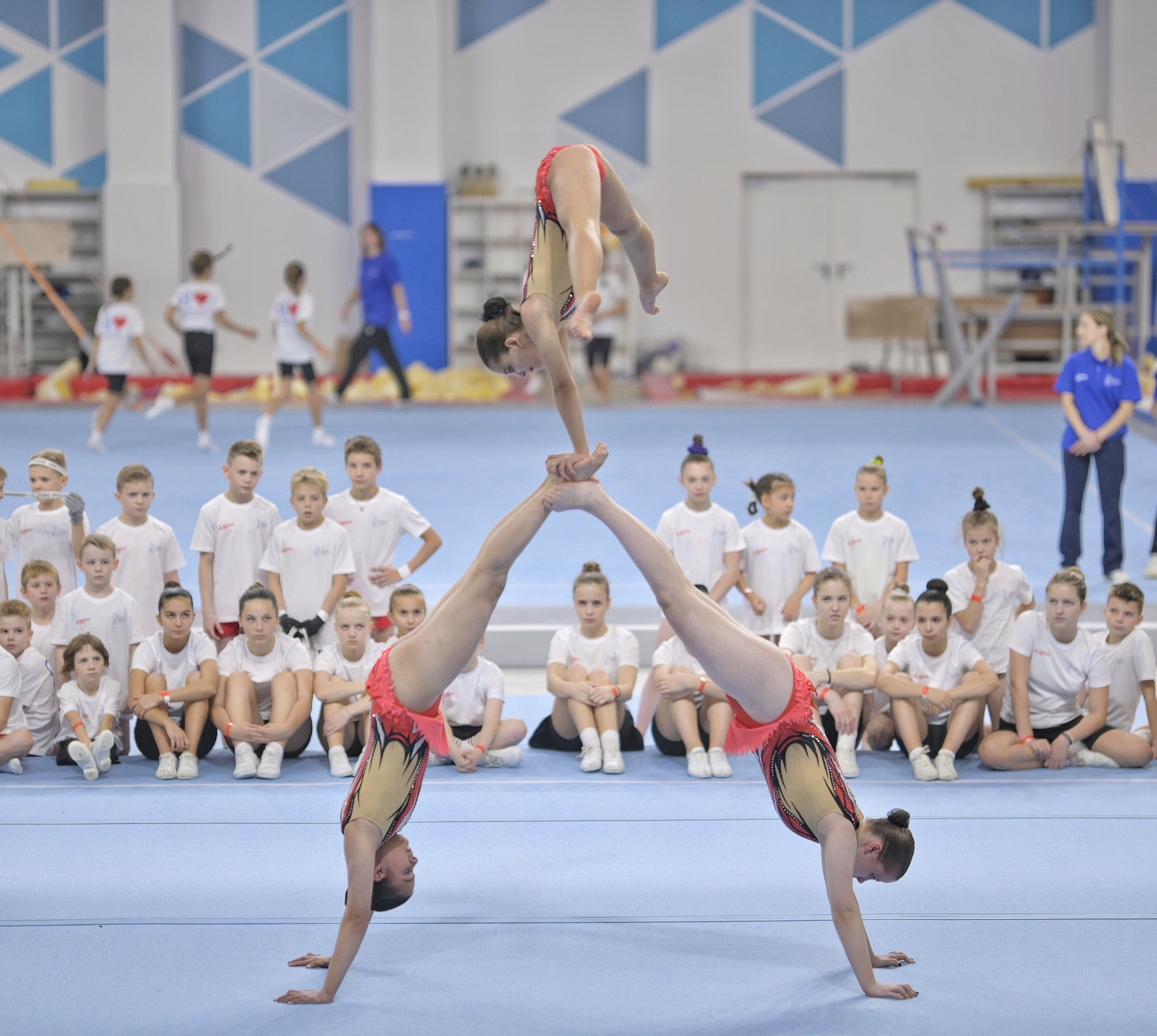 Мастер-класс по гимнастике «Динамо». Фотограф Ваших событий 📸