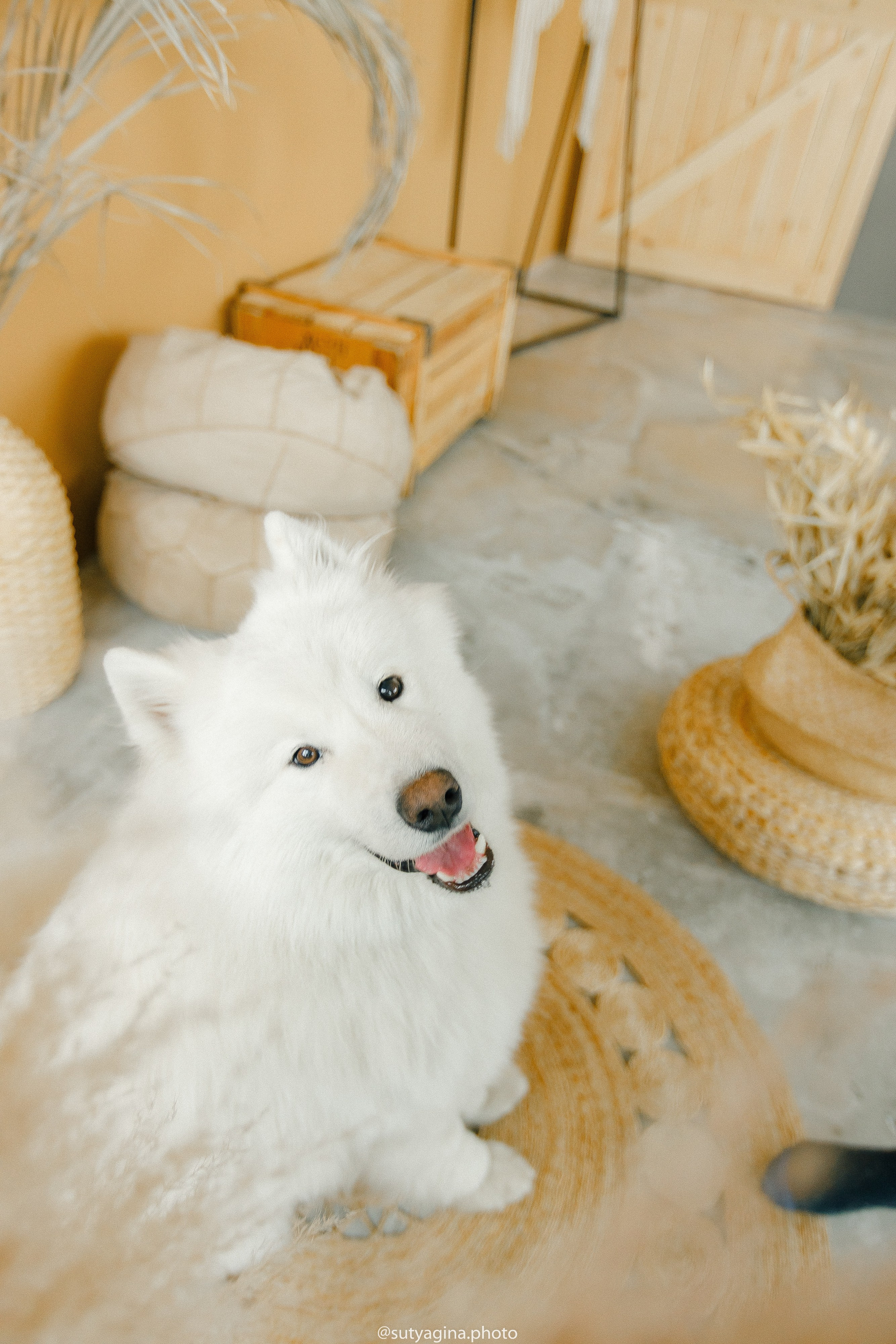 Самоед Мартин. Свадебный и женский фотограф