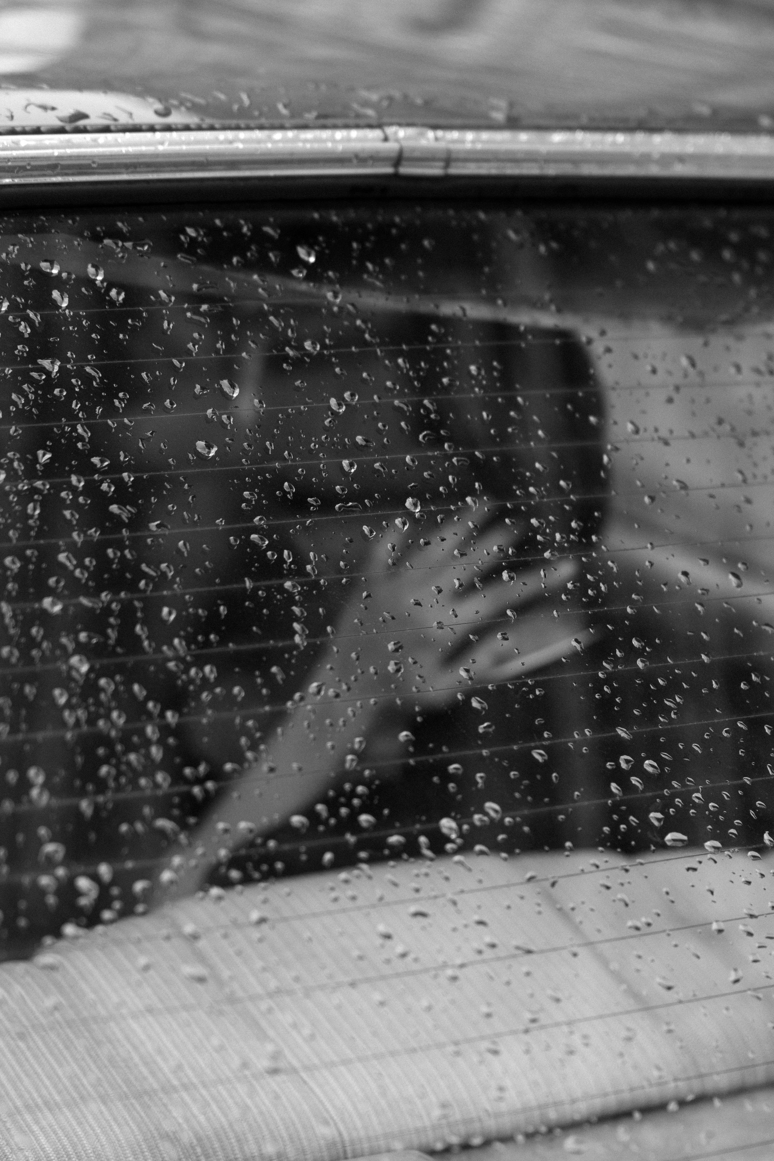 Диана и Антон. Свадебный фотограф в Санкт-Петербурге и в Москве Вероника Рябова