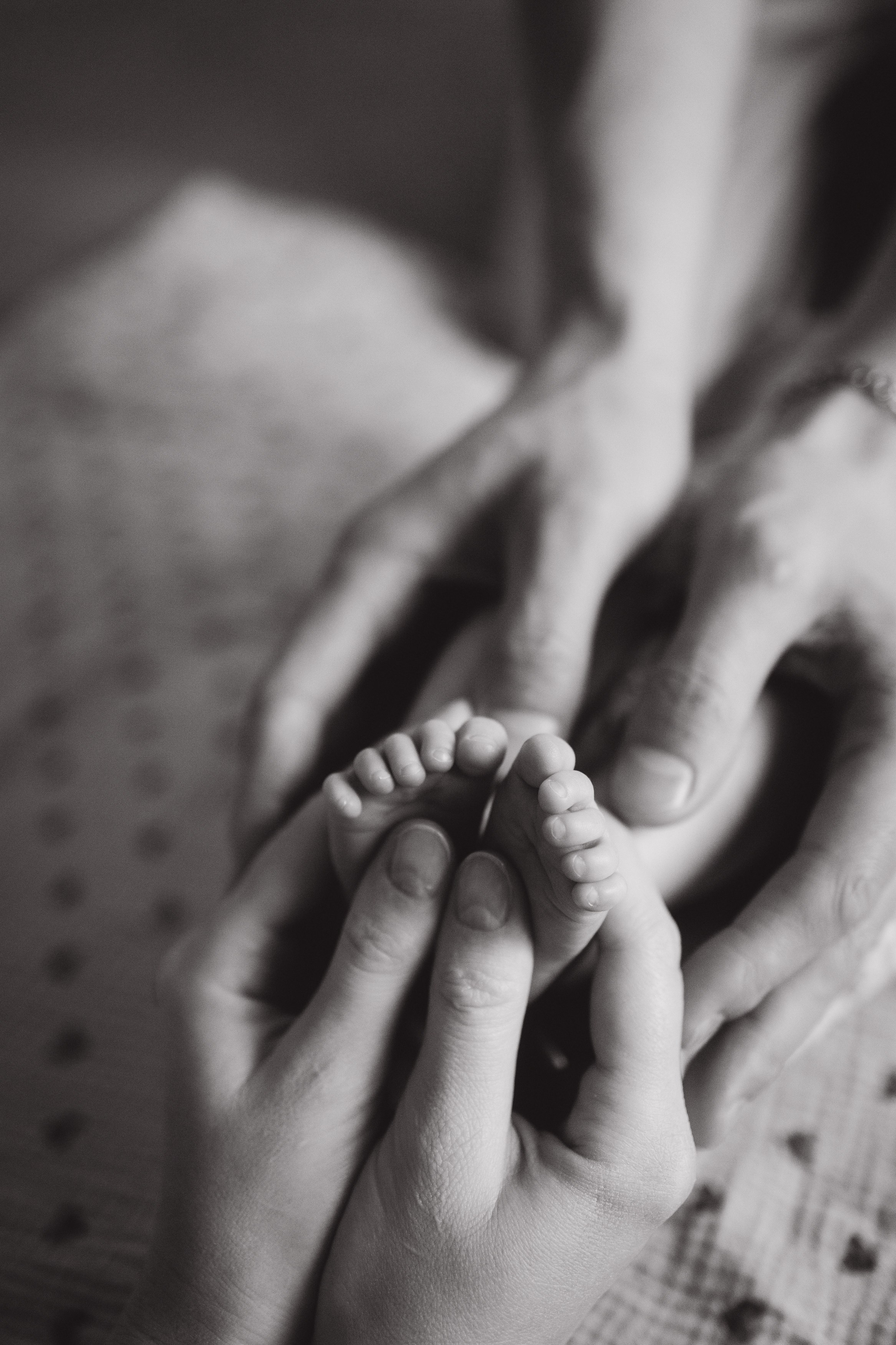 НЬЮБОРН. Семейный, ньюборн newborn фотограф, фотограф новорождённых в Санкт-Петербурге, Пушкине, Павловске. Павлова Анастасия