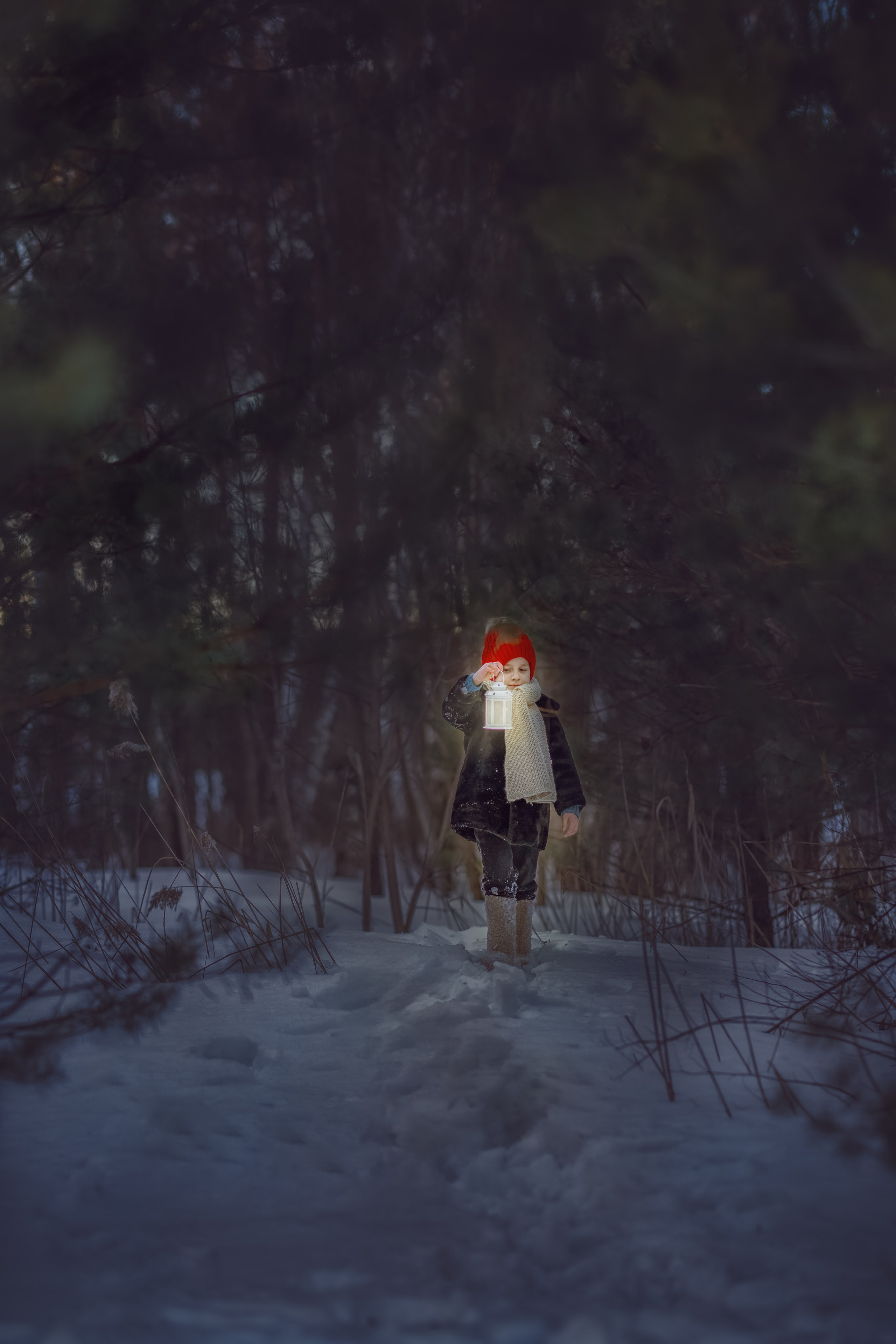 ДЕТСКИЕ постановочные/сказочные СЪЕМКИ. Фотограф Алина Лебедь