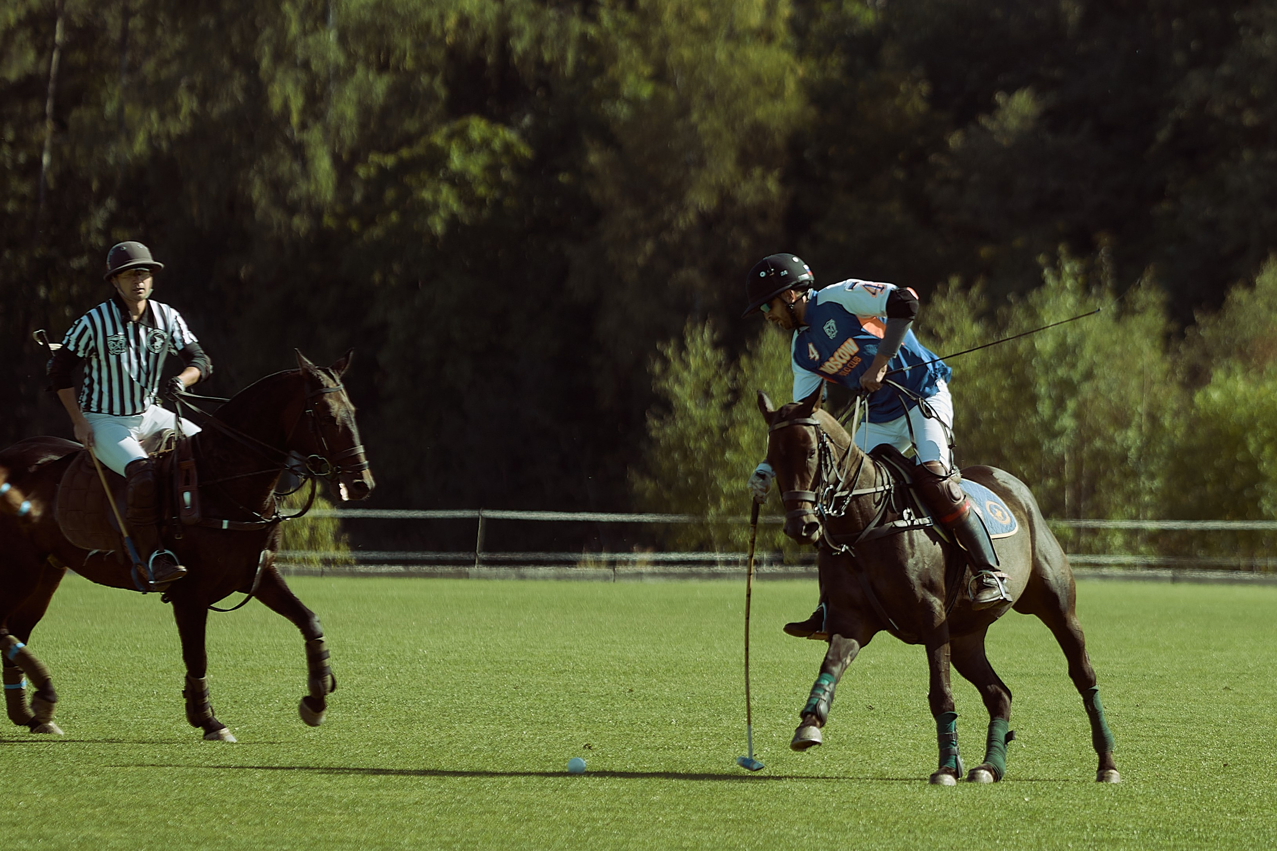 HORSE POLO. Фотограф Наталья Леонова