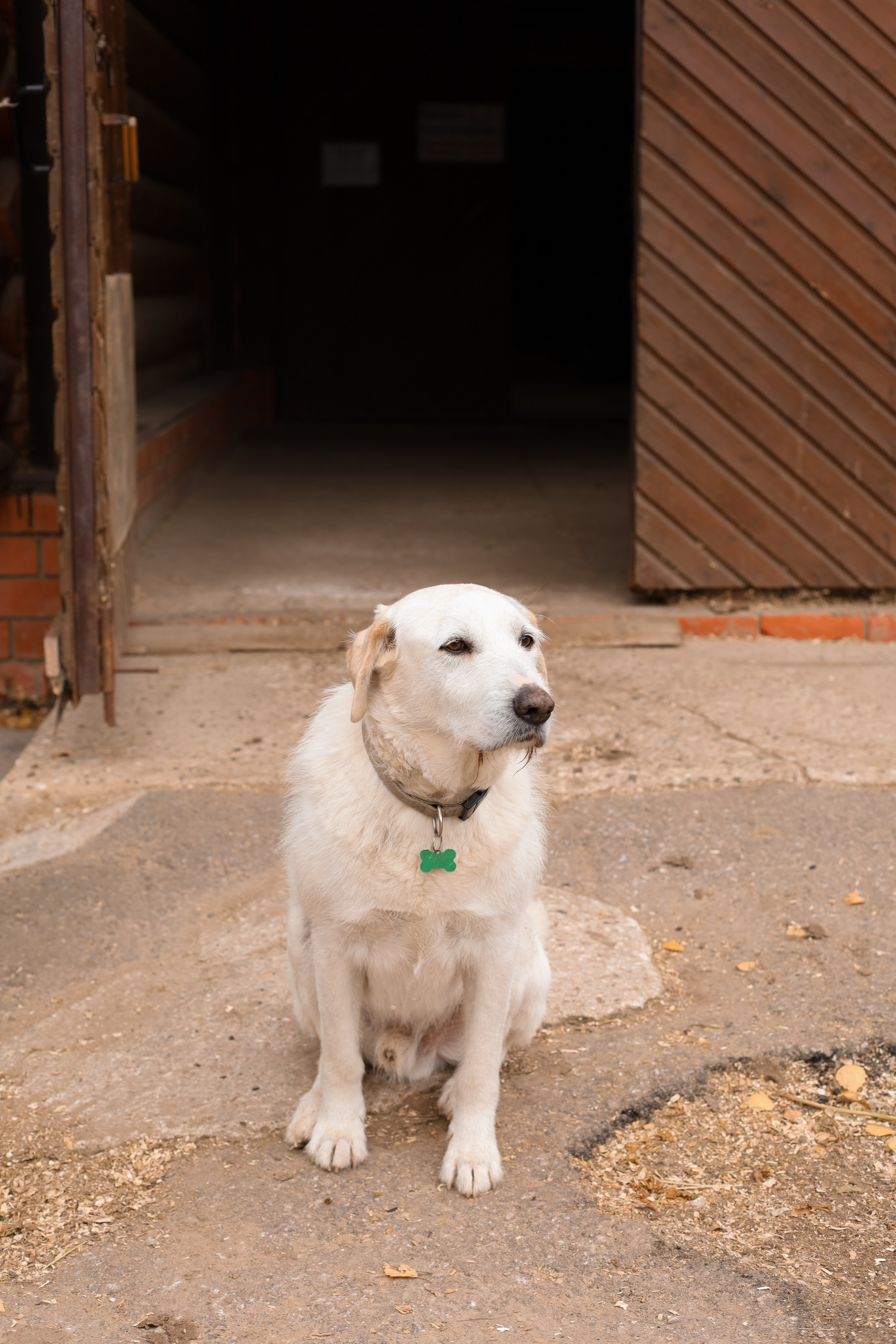 Женский клуб в ФАВОРИТ. Фотограф Светлана Бурова
