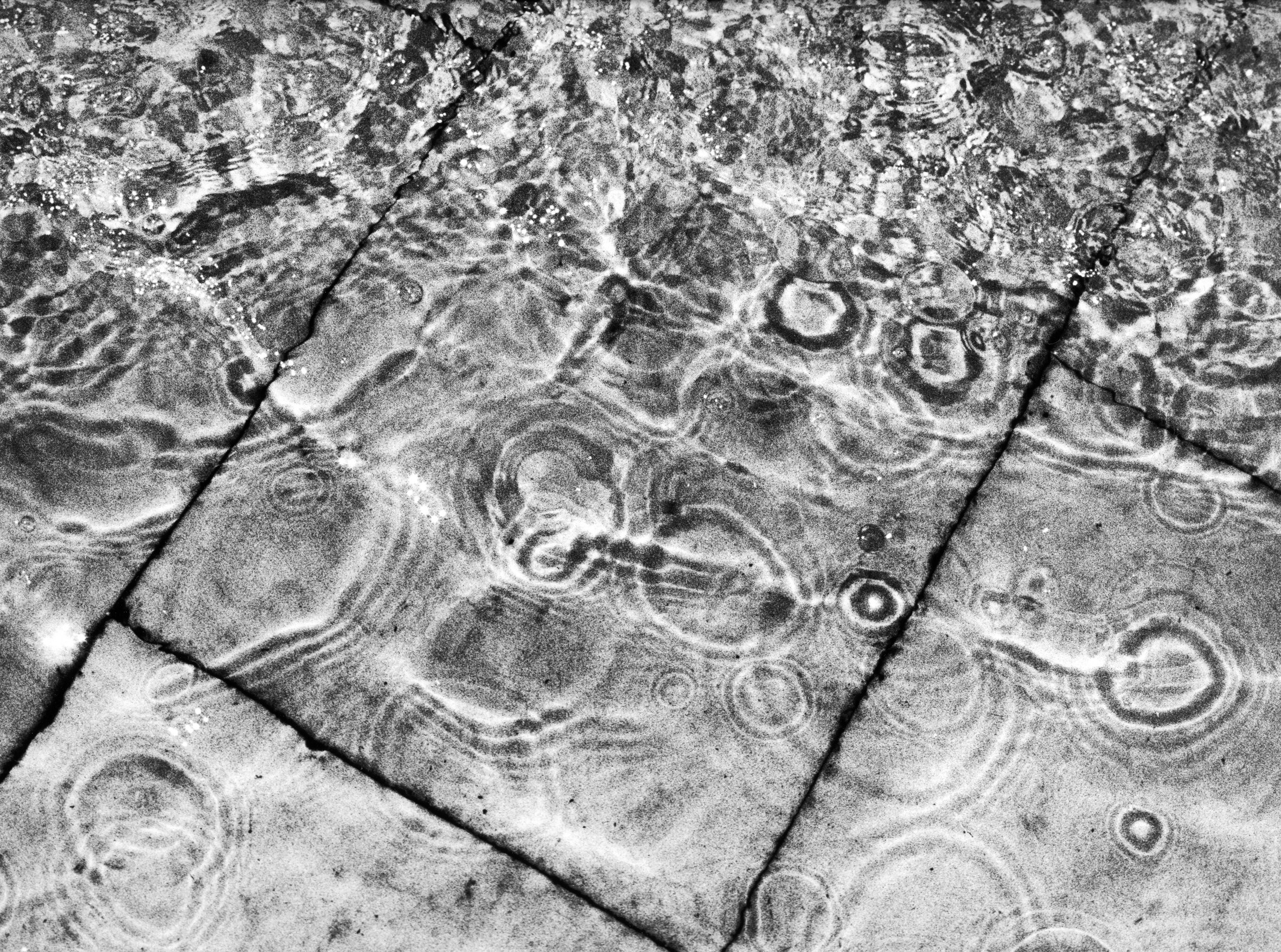 Separation project. Philipp Yelistratov