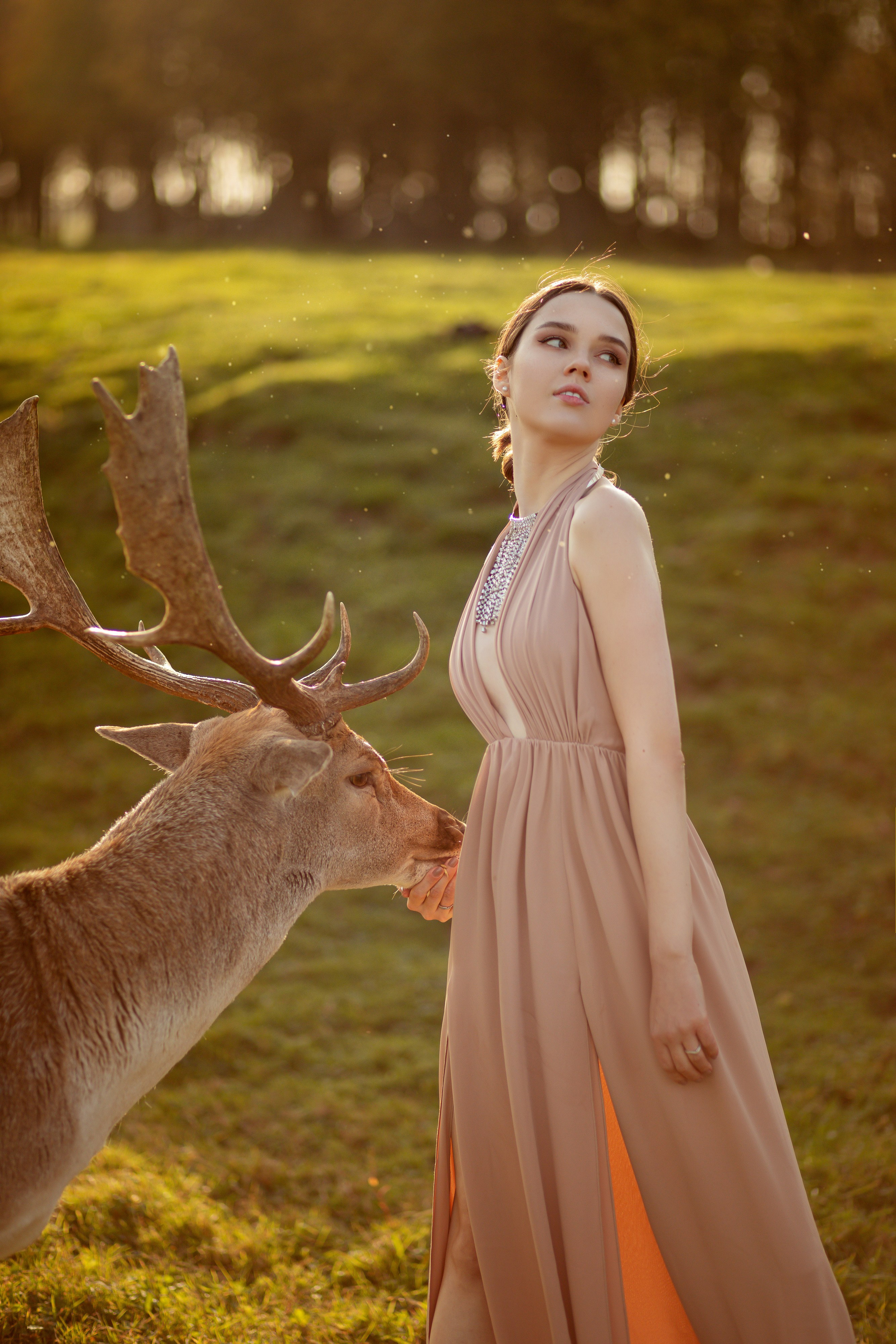 Девушка на фоне зеленого луга кормит оленя.