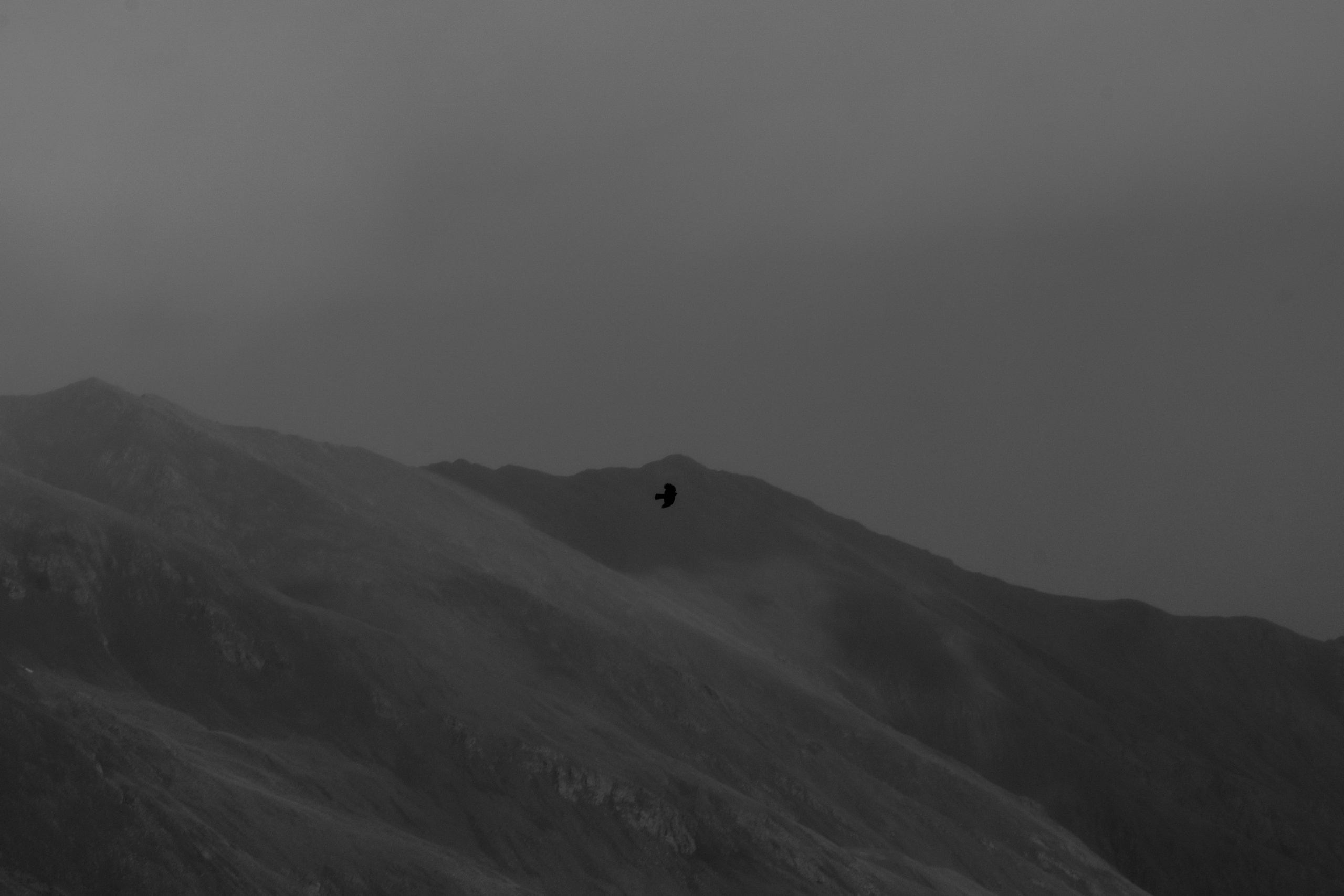 EXHIBITION. Репортажный и интерьерный фотограф, фотохудожник