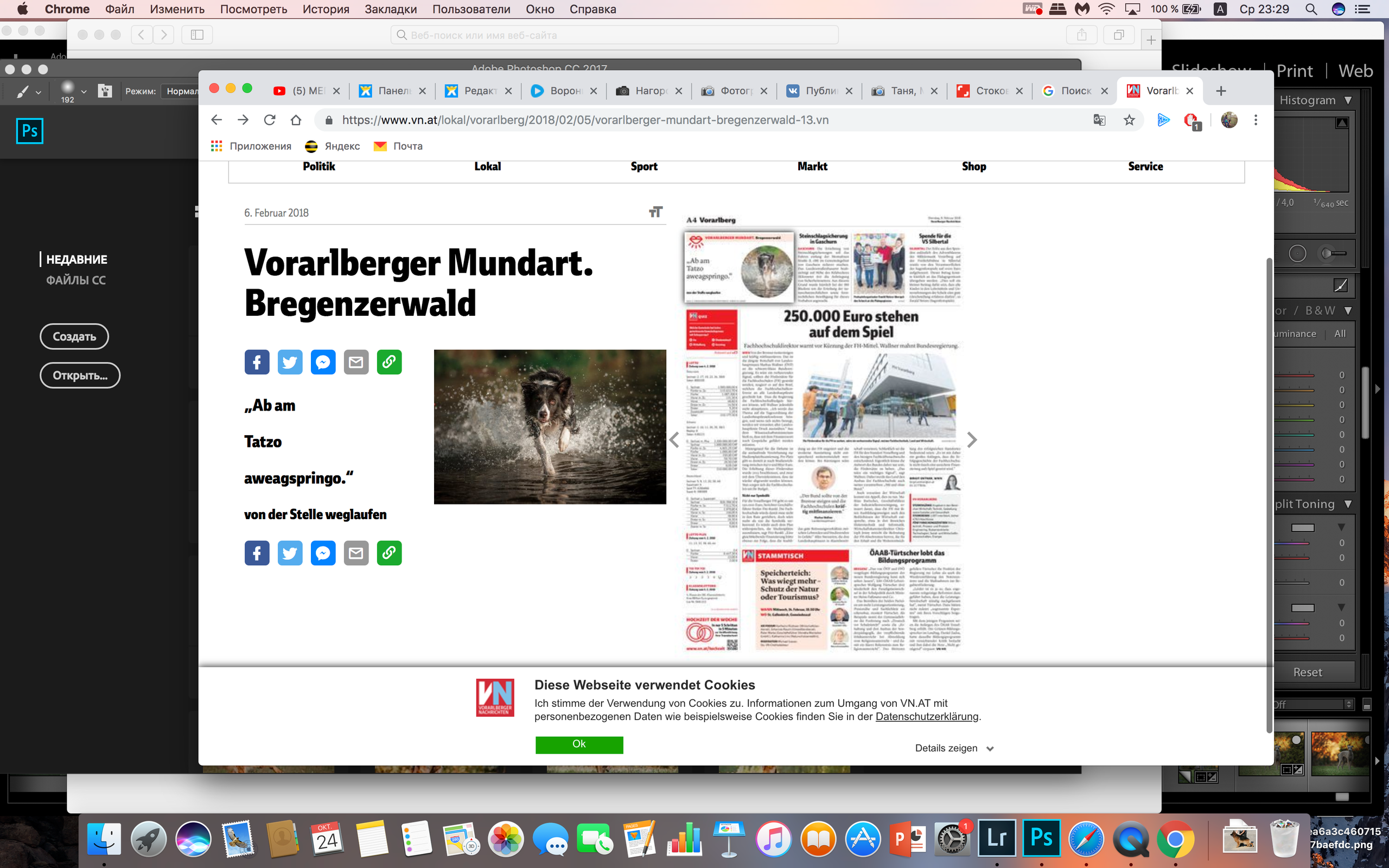 О фотографе TitAnya. Фотограф собак, фотограф-анималист Аня Титова (Titanya). Москва