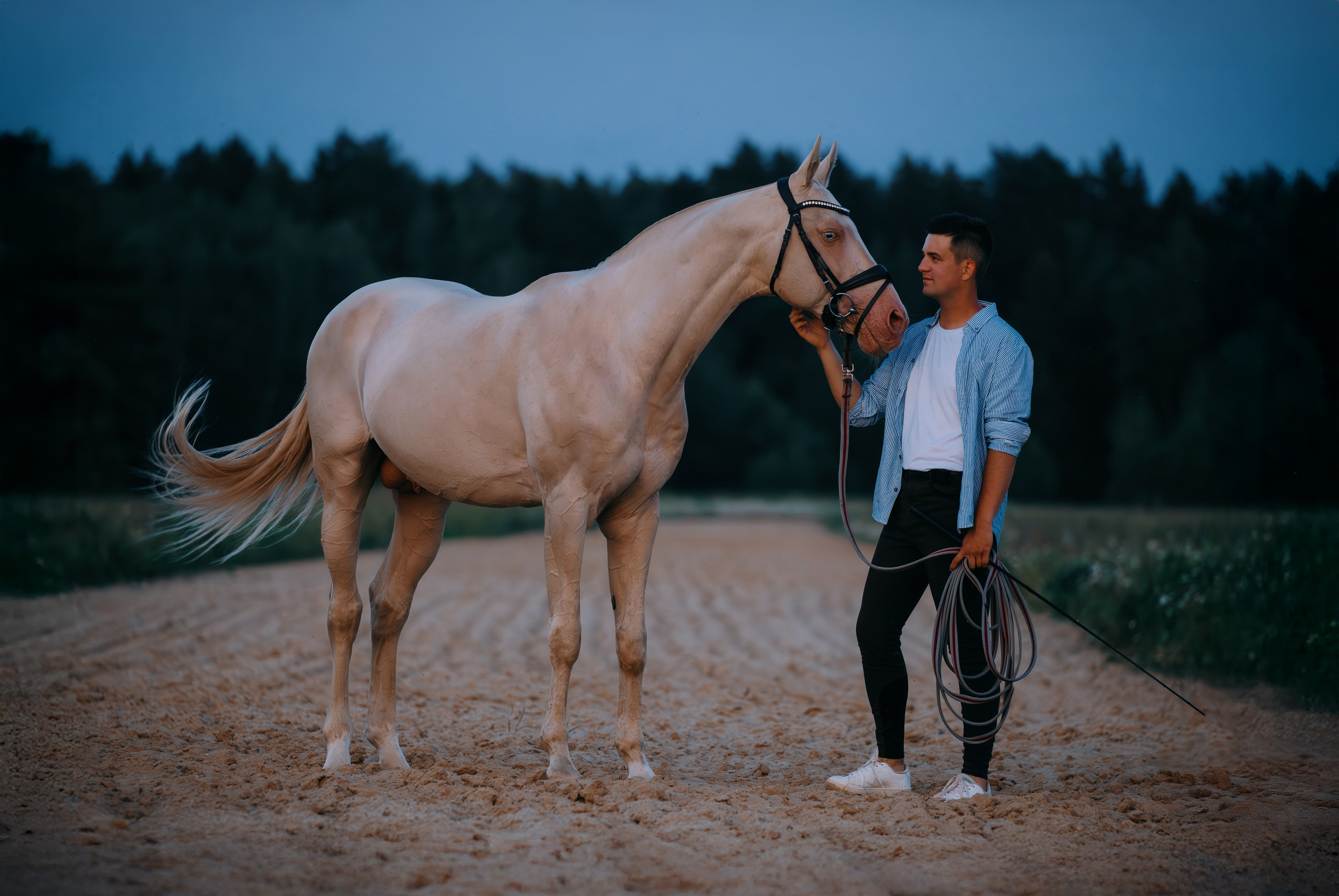 Кирилл и Перигей. Фотограф-анималист Ксендзова Кристина