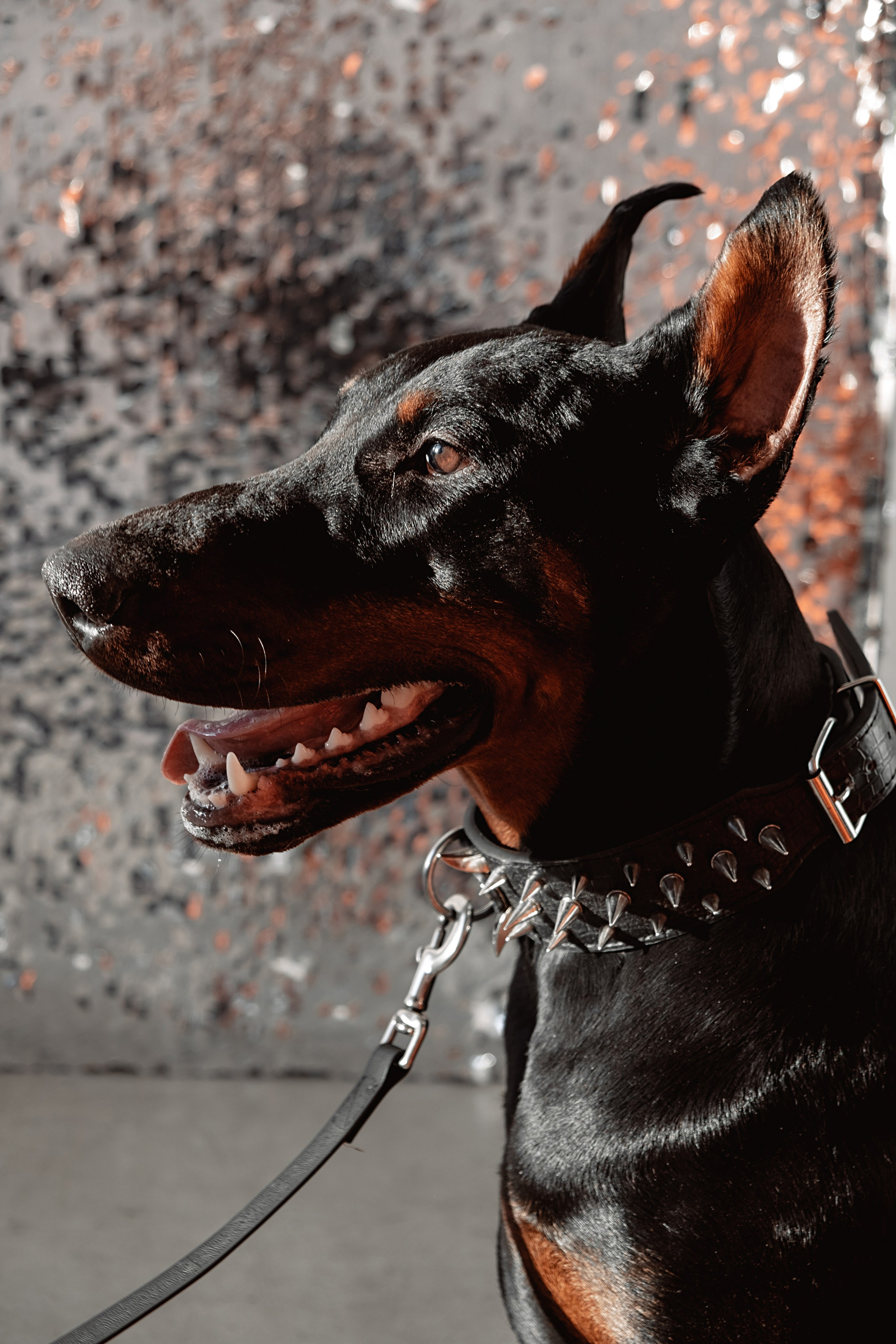 Юля. Портретный и свадебный фотограф в Йошкар-Оле Егошина Екатерина