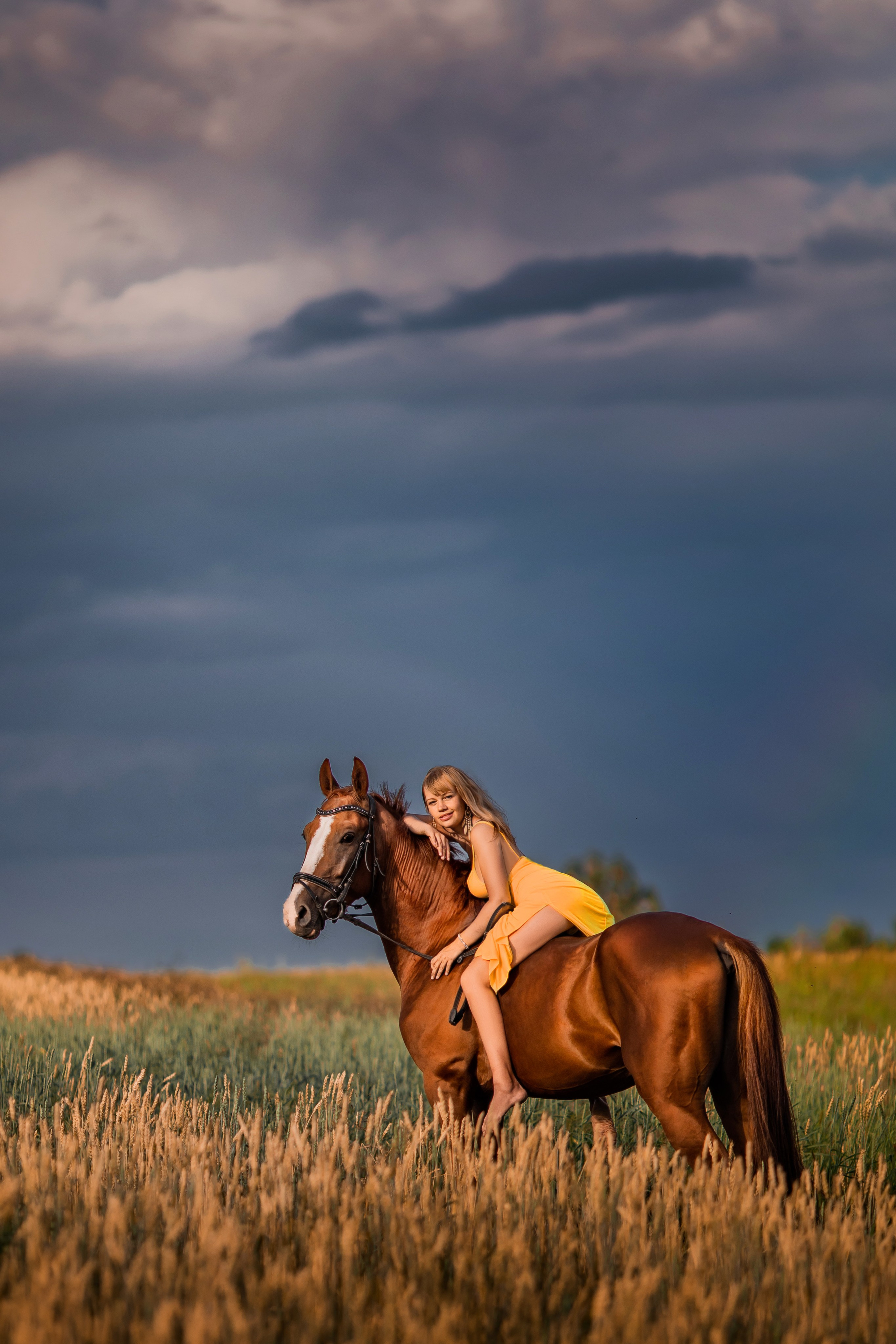 Фотосессии с лошадьми. Главная