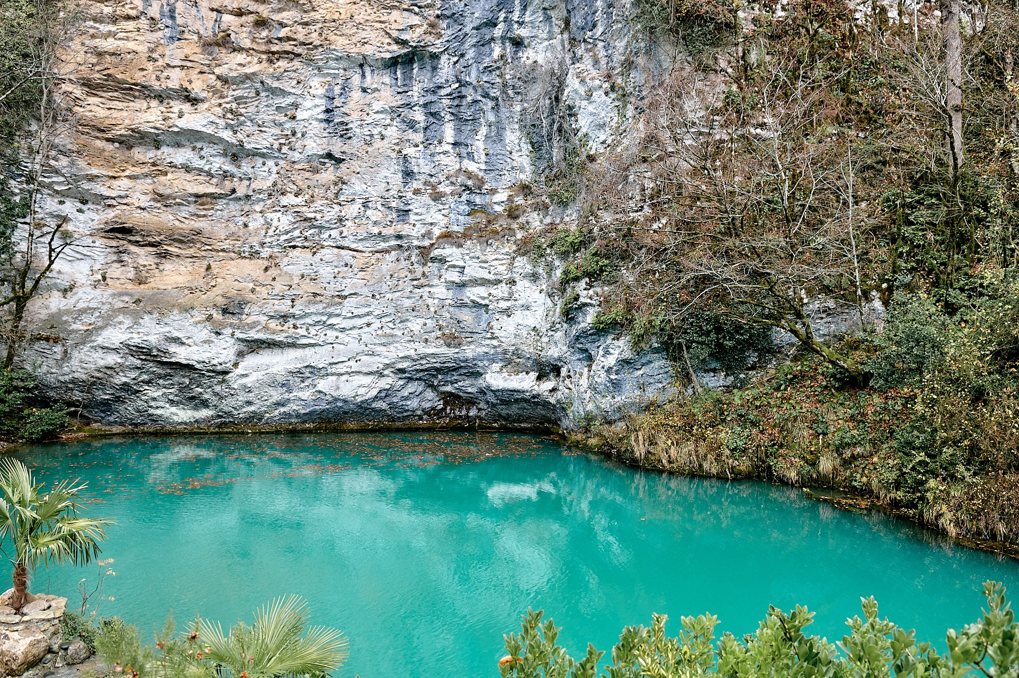 Озеро Рица, Абхазия. Декабрь 2024. Фотографии отовсюду и обо всем