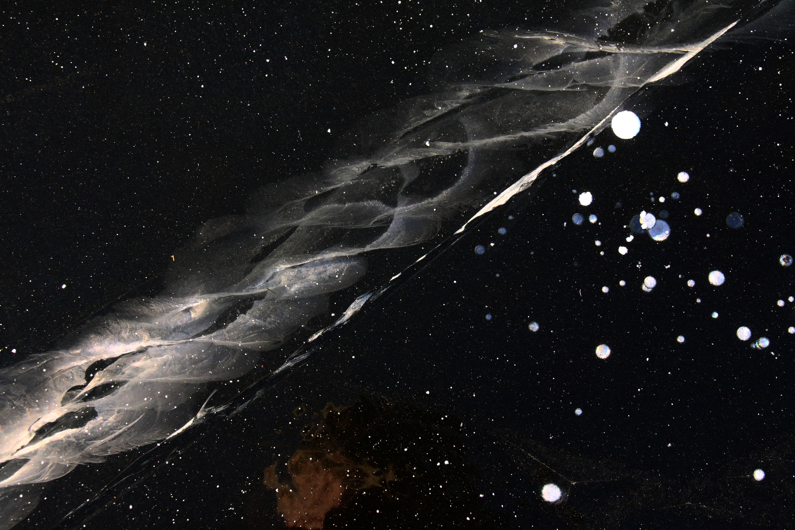 2016— Гран-при. Фотообъединение Самарского областного отделения Союза журналистов России