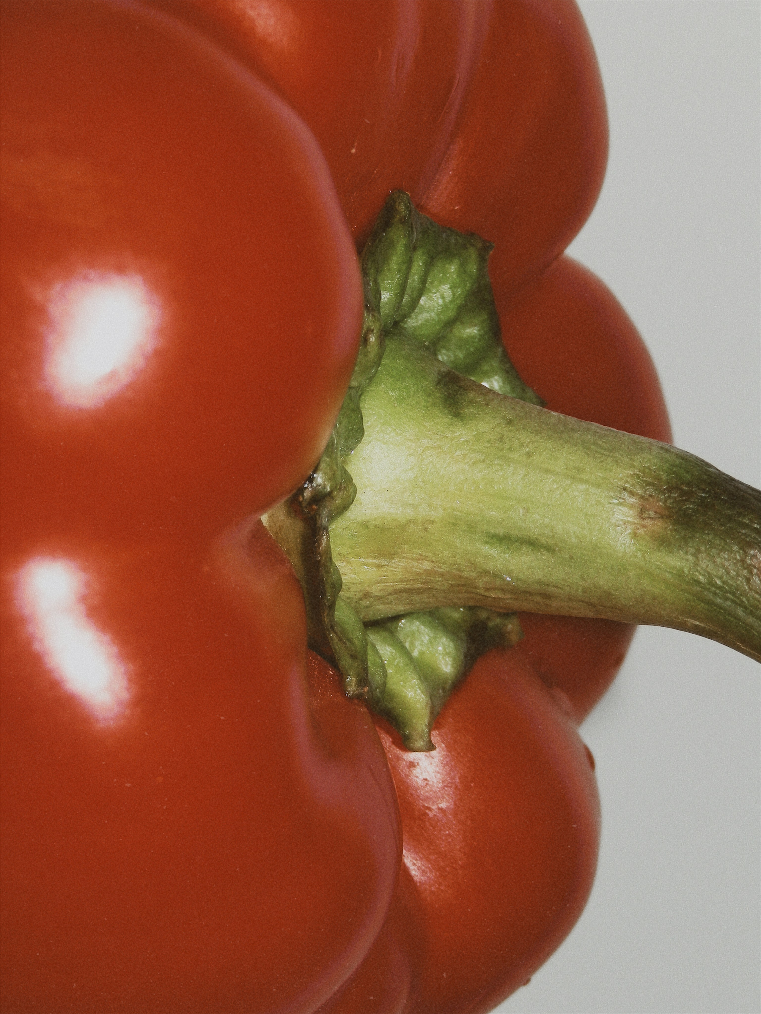 Предметная съёмка. Чувственный мобильный фотограф в Казани и Сочи Дьяченко Дарья