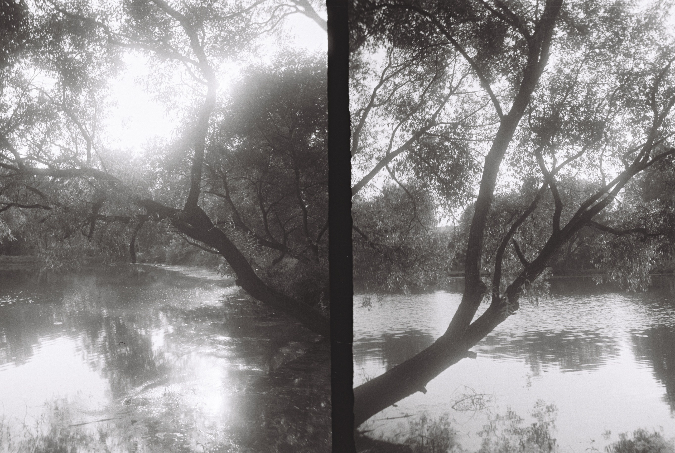  Фотограф: Ожерельев Лев