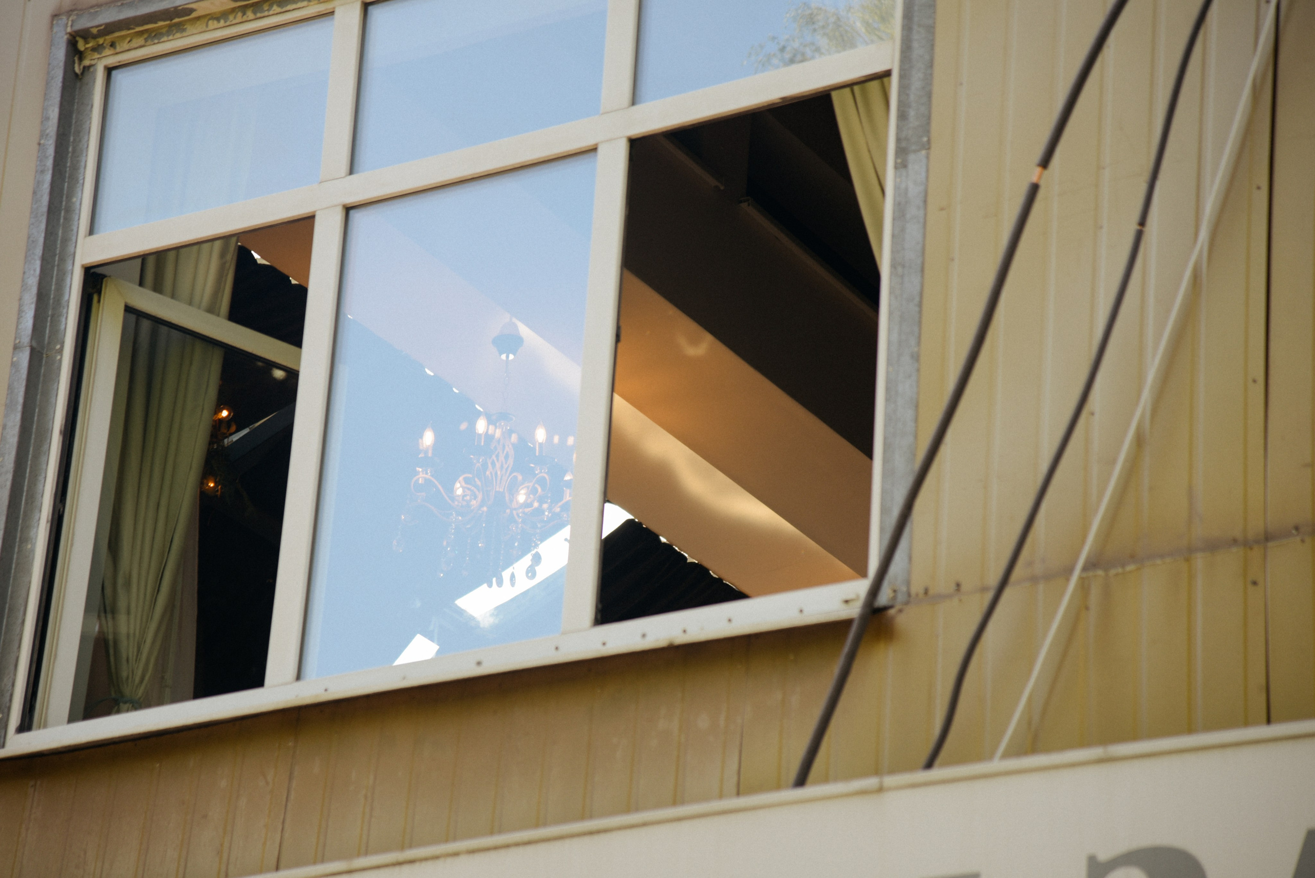 Про лес. Фотограф Лола Волна, город Москва