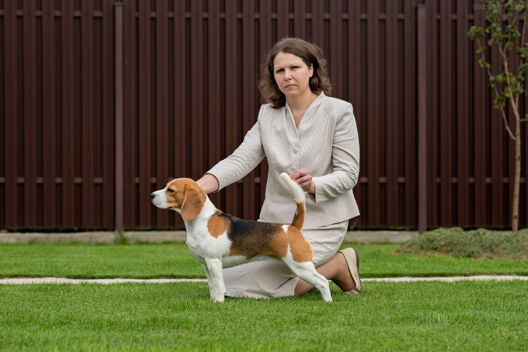 Экстерьерная фотосессия собаки. Фотограф собак в Москве и Московской области Иванушкина Мария