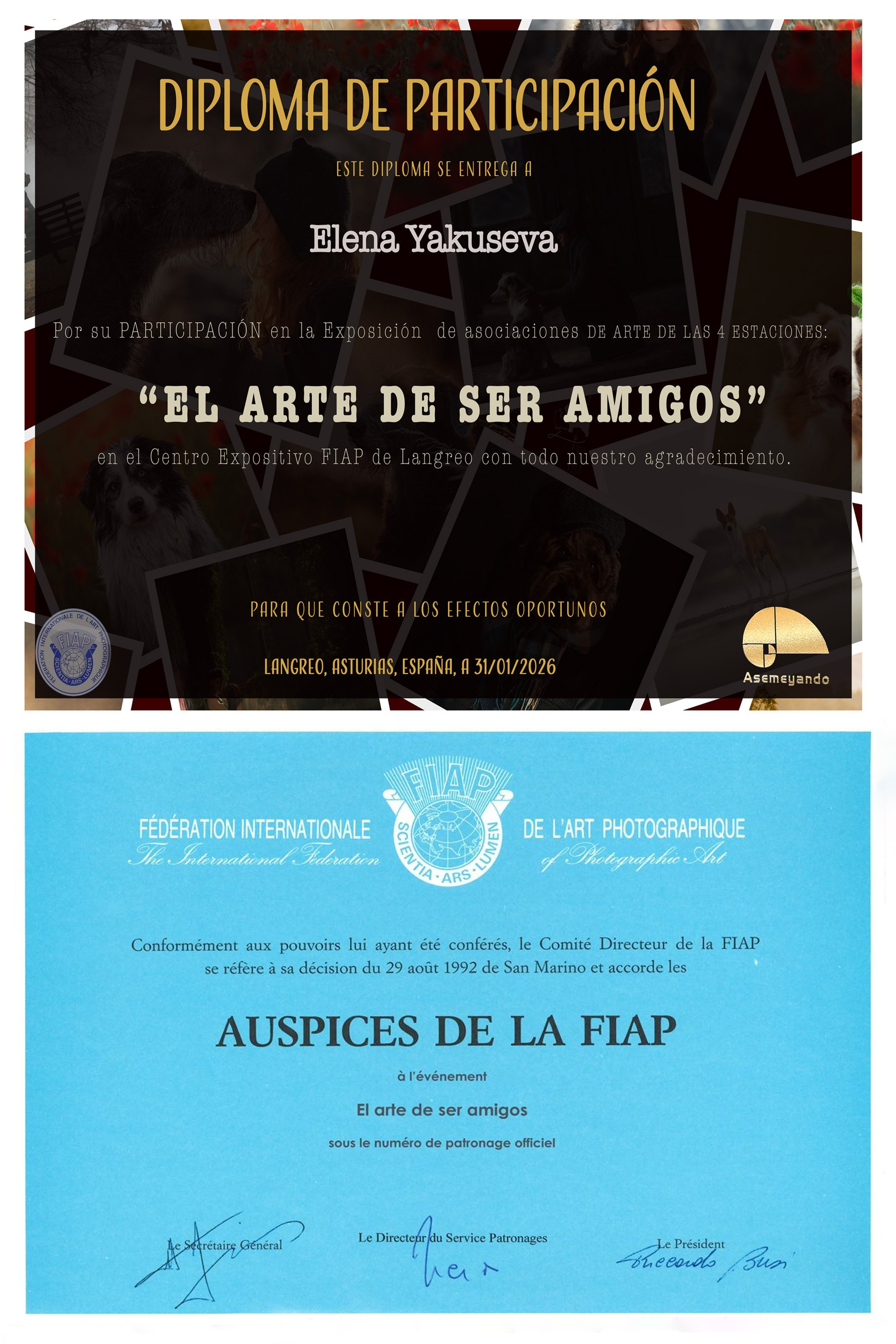Дипломы & AWARDS. -
