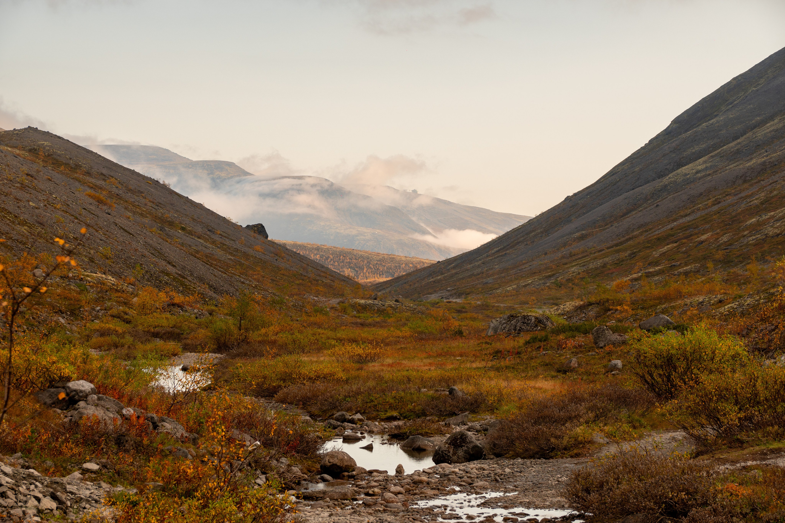Золотая осень в Хибинах. Daria wanderer photography