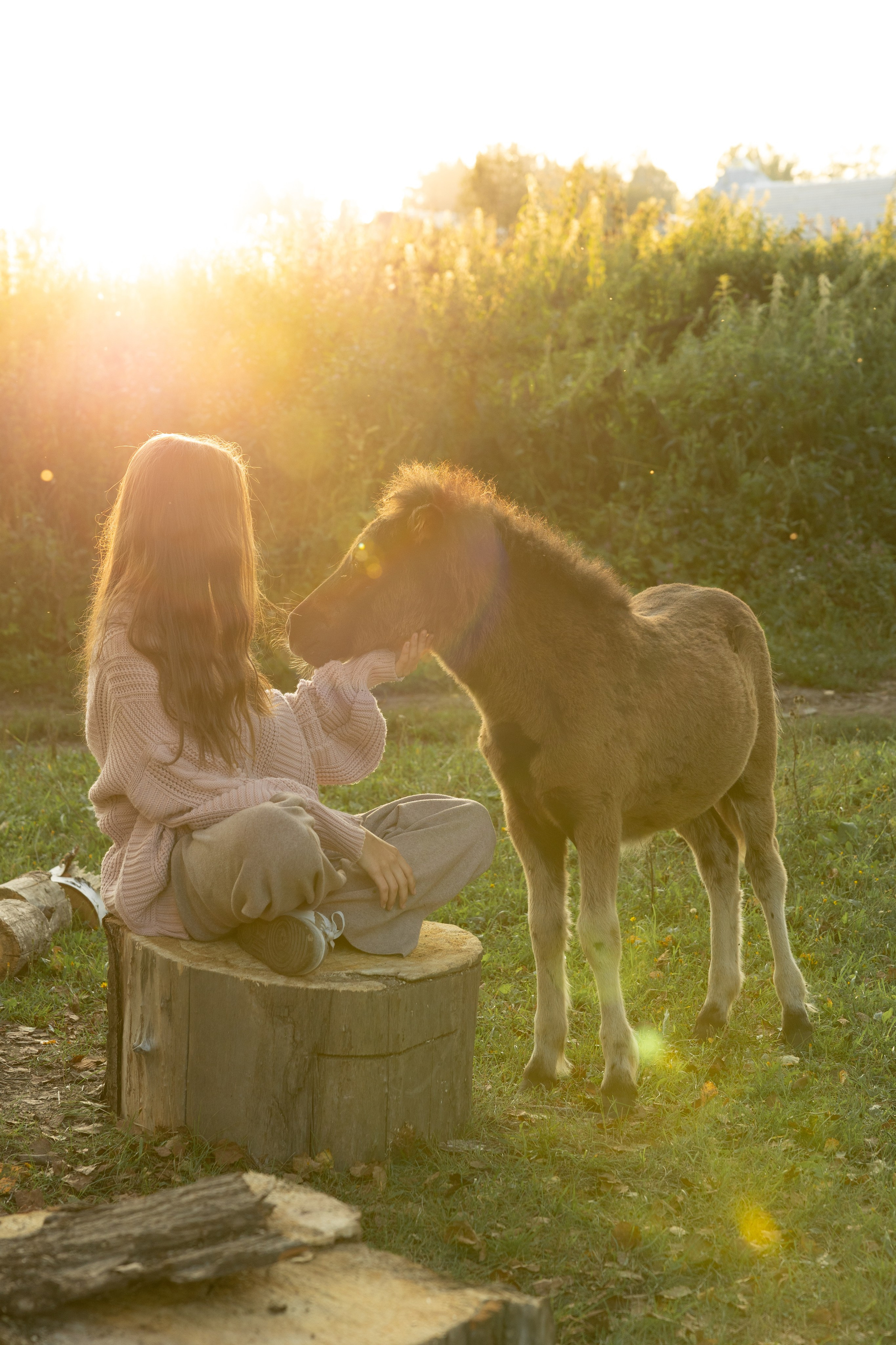 Прогулка на конюшне. Семейный и женский фотограф, стильный репортаж в г. Новосибирск