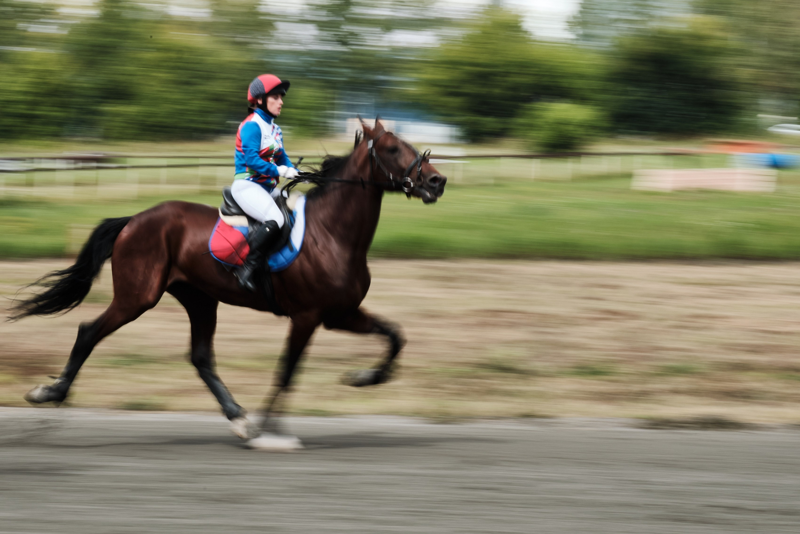 Ипподром. Goncharov Tim