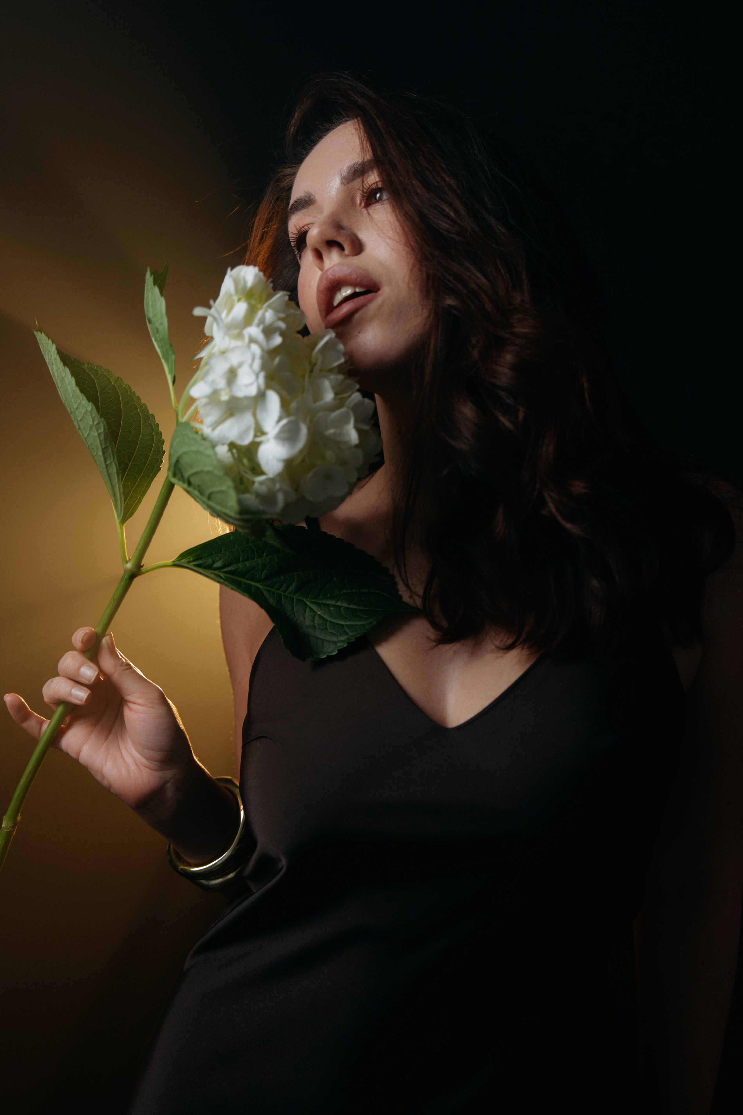 Violetta. Фотограф Волгоград