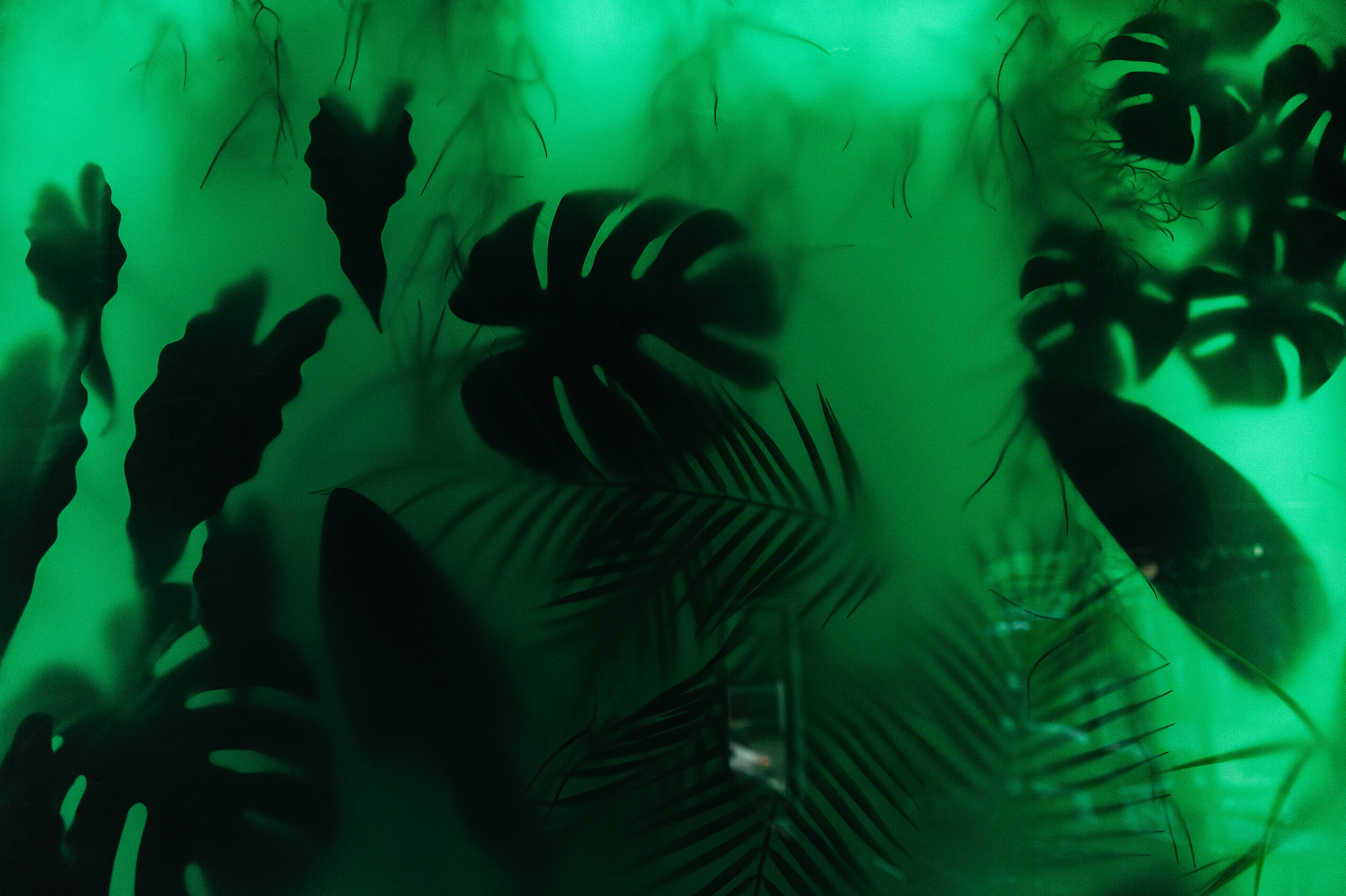 Константин и Анастасия Москва. Свадебный фотограф в Ростове-на-Дону Тарасенко Константин