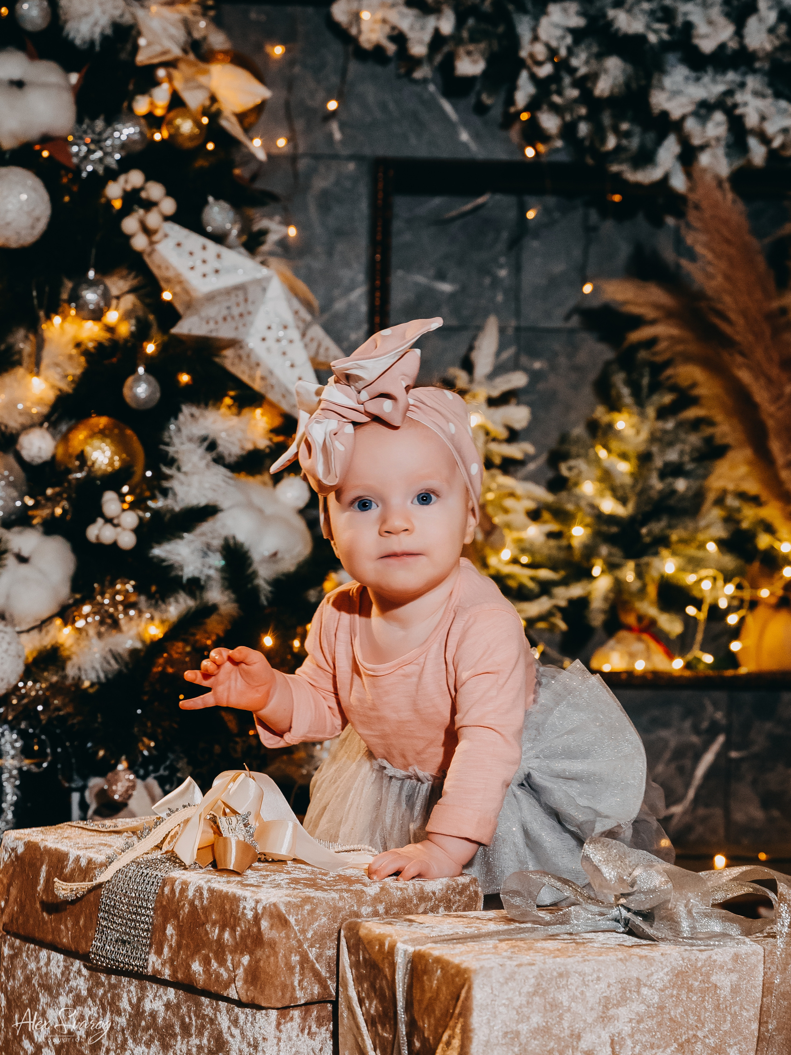 -Новогодние семейные фотосессии-. Свадебный и репортажный фотограф-видеограф Москва и Московская область