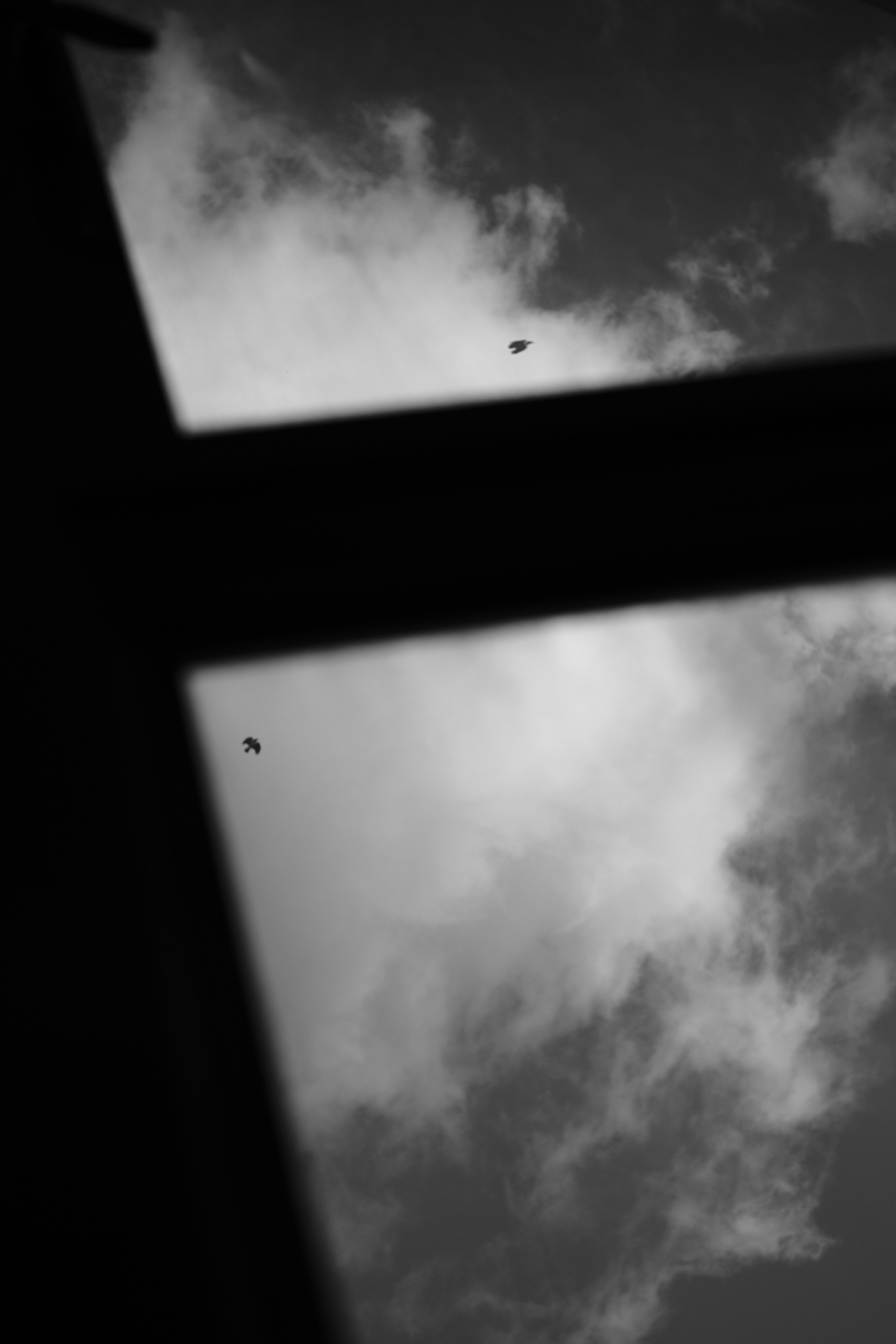 Street. Фотограф в Санкт-Петербурге Шевцов Андрей