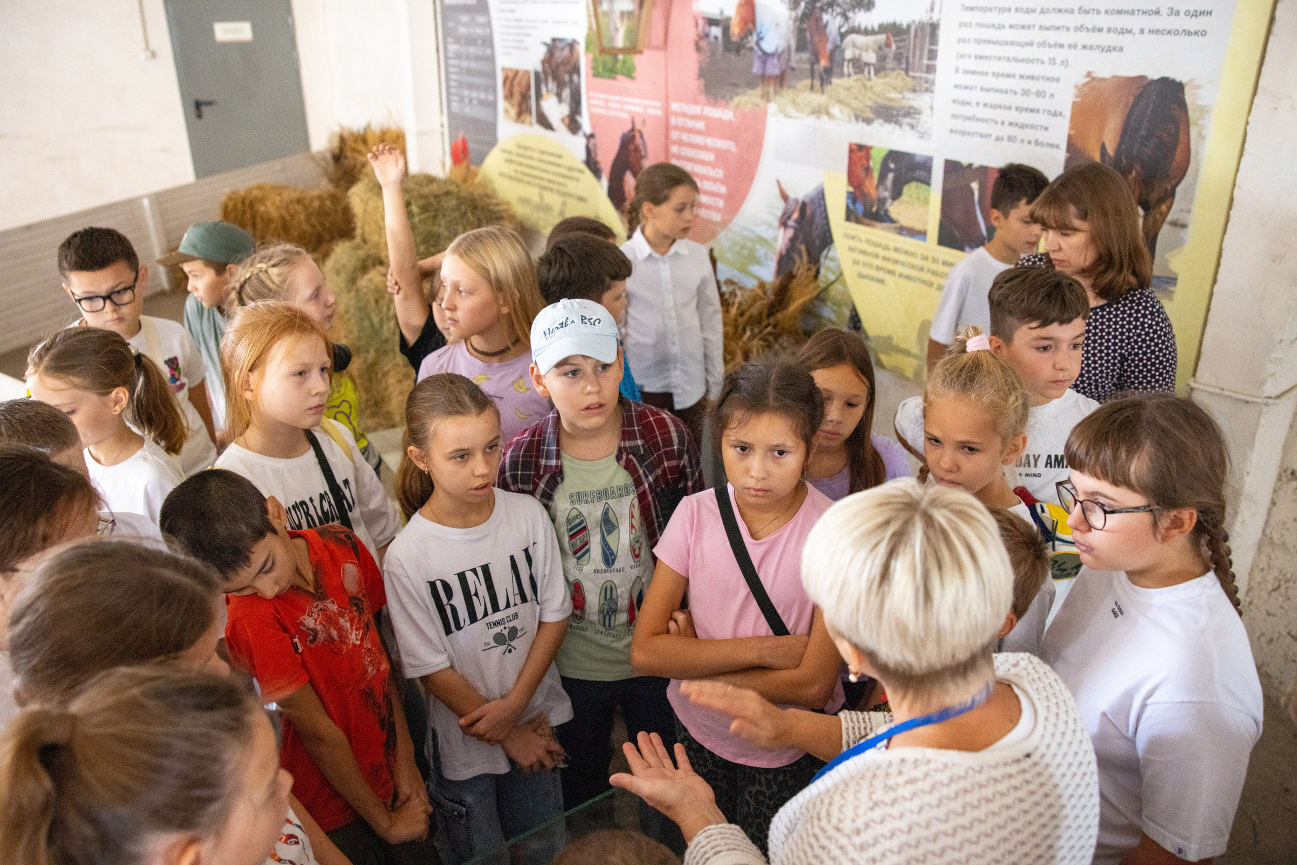 Поездка на поле Кулеково. Фотограф в Туле Крупский АнДРей. Фотостудия «КАДР71» в Туле