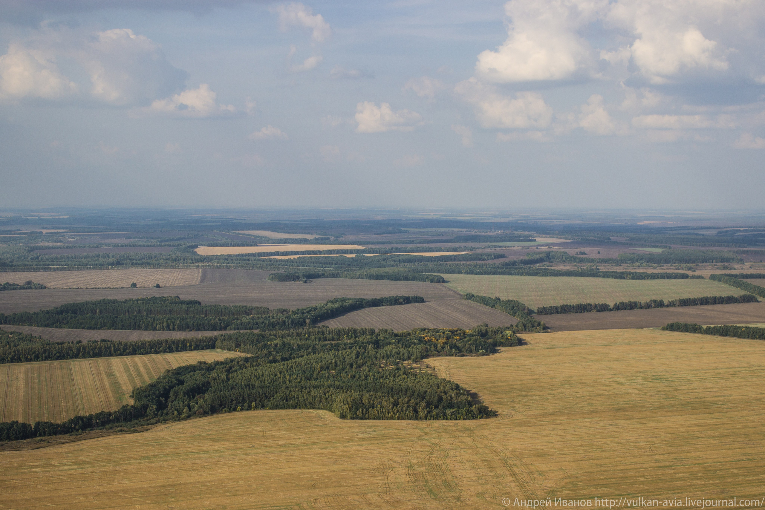 Волгодонск аэр. Потапов слёт «Небо для всех» (2021 г.). Фотоальбом показывающий увлекательный мир авиации и мир медведей Андрея Иванова