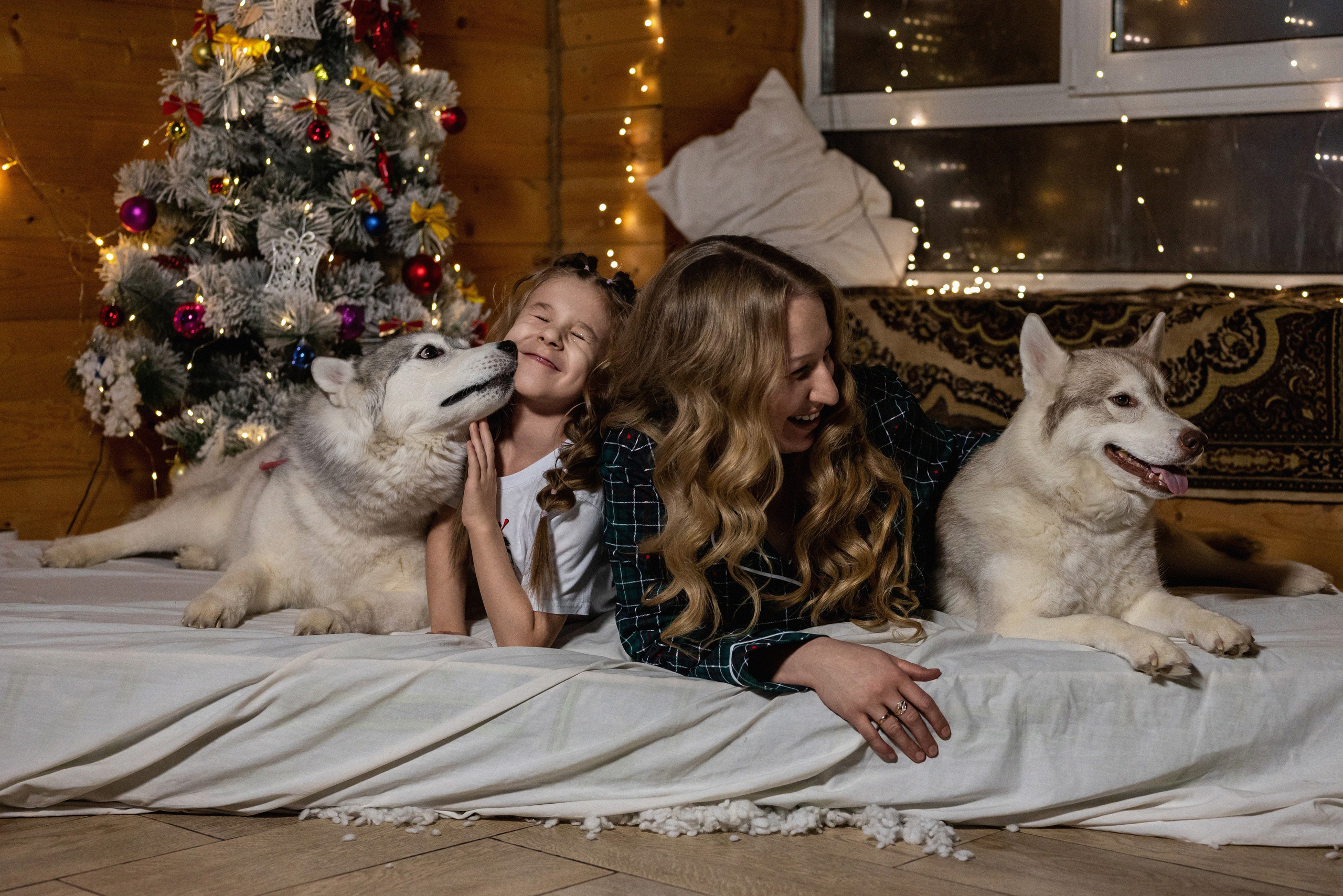 Фотопроект с хаски 2024 г. Фотограф в городе Салават