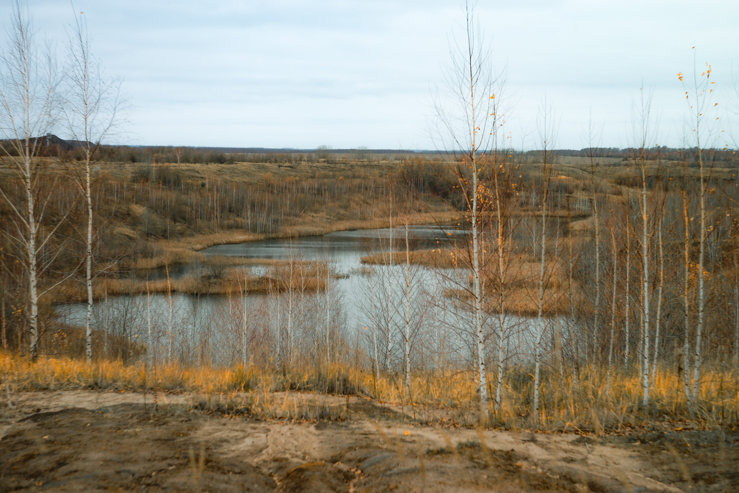 Ноябрь 2022. Efremovaphoto.ru