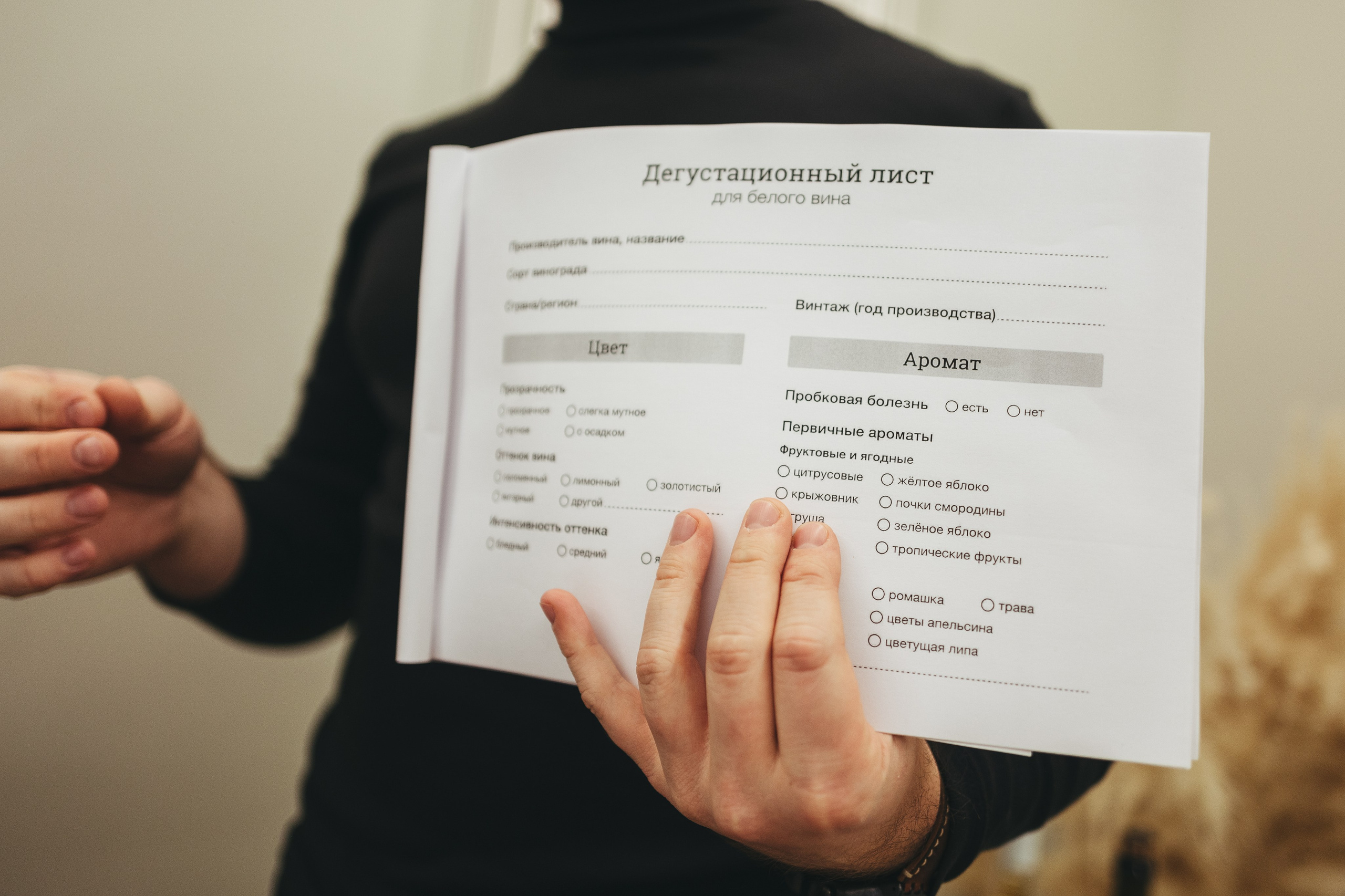 Degusteishen wine 2024. <3