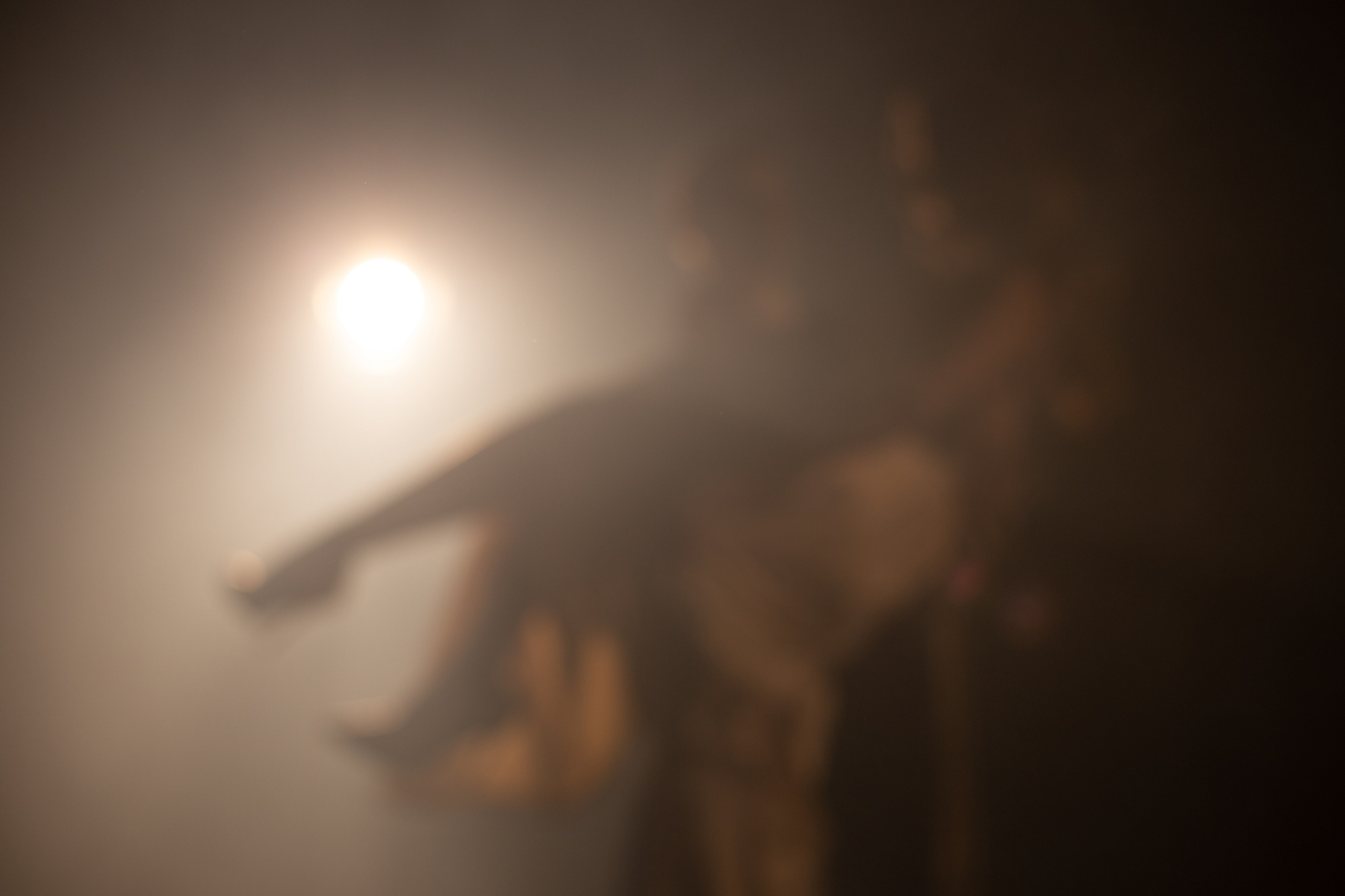 Кристина и Дмитрий. Свадебный и репортажный фотограф Краснодар и Край