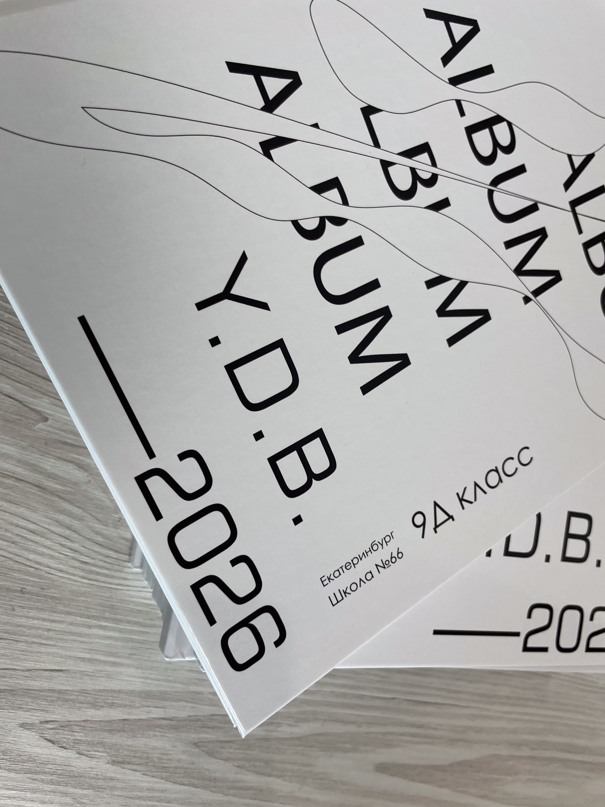 МАОУ СОШ № 66 | 9 «Д» класс. ВЫПУСКНЫЕ АЛЬБОМЫ