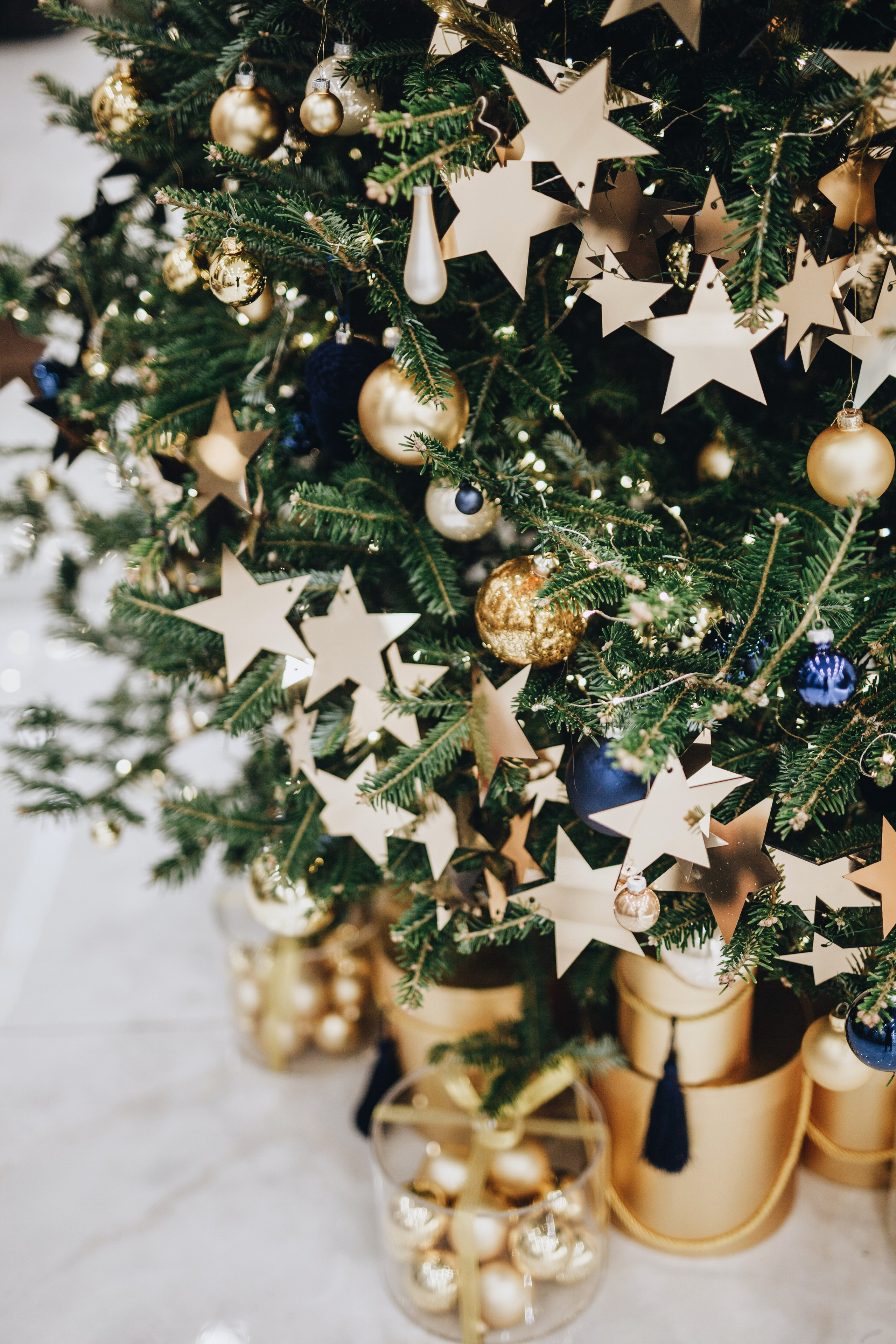 Тисс 2023. Ксения Почтарь. Декоратор и флорист, город Владивосток