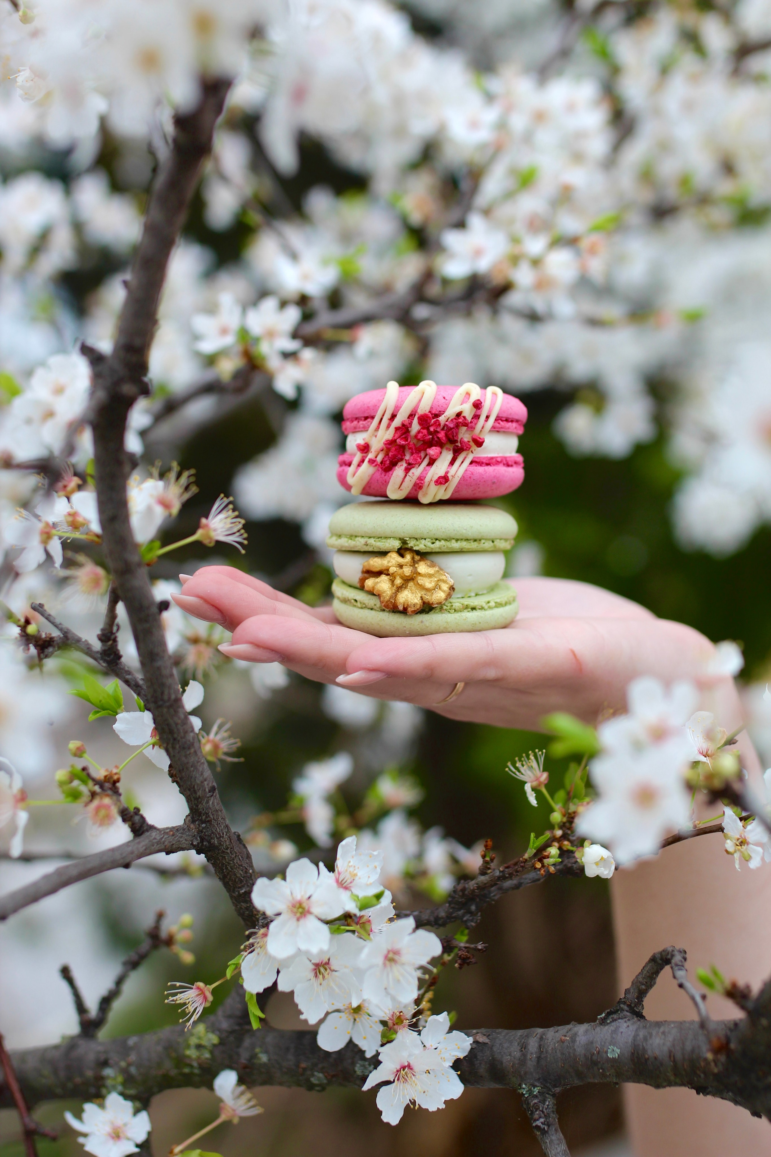 Product. Фотограф в Крыму — Бабанина София