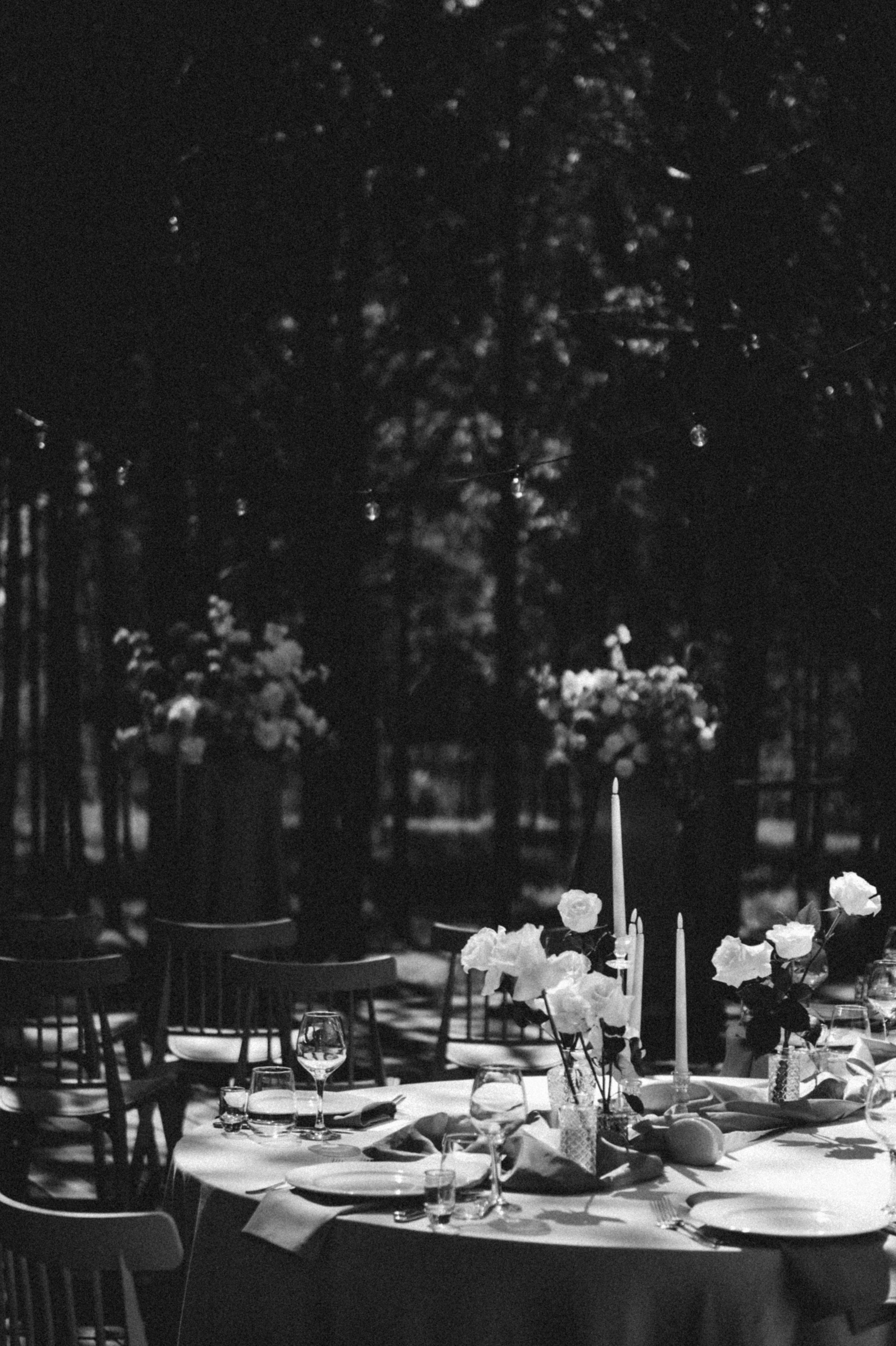 Свадебные фотографии. Фотограф в Барнауле Дарья Бутурлакина. Люби.Цени.Касайся