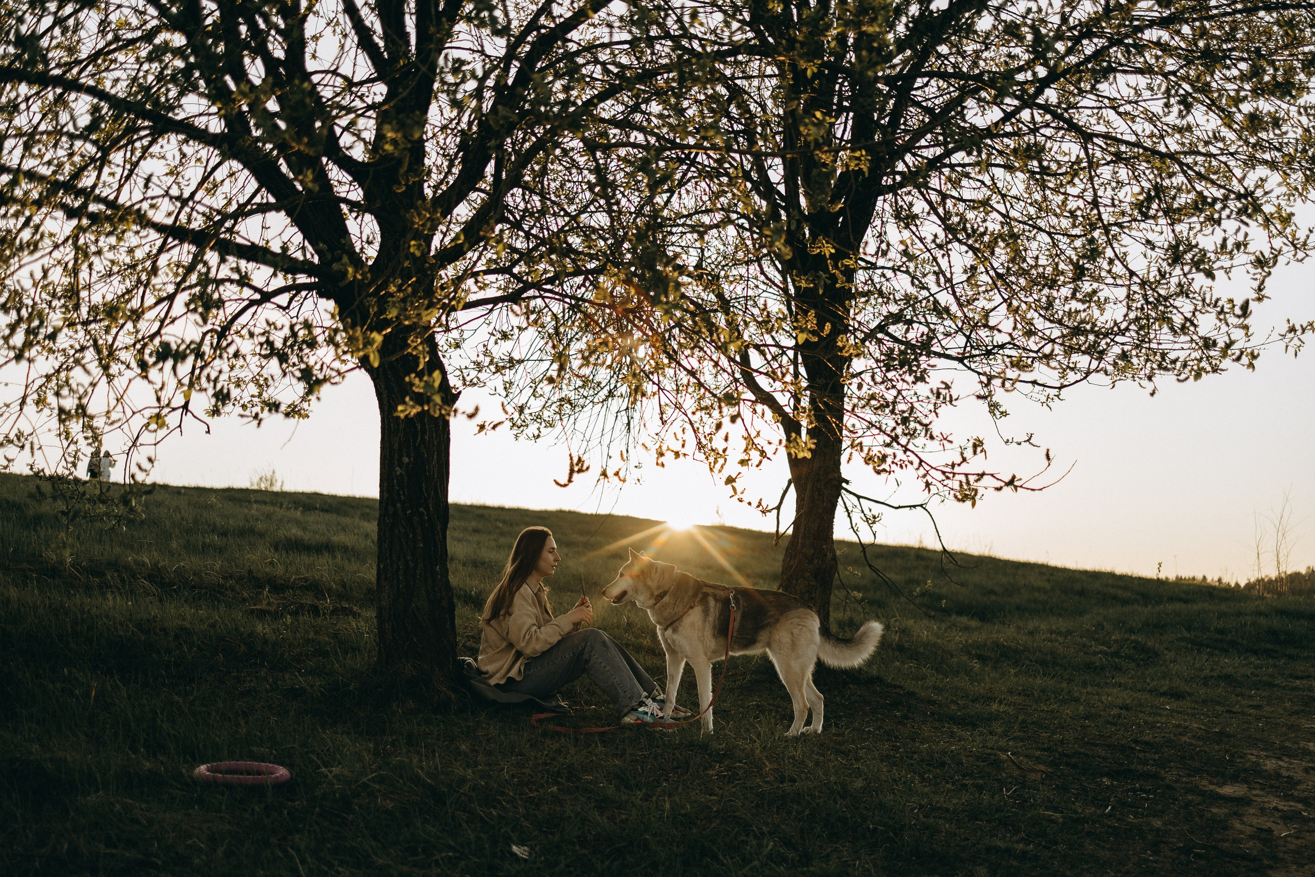 Саша и Зельда. Фотограф — Анималист | Санкт-Петербург