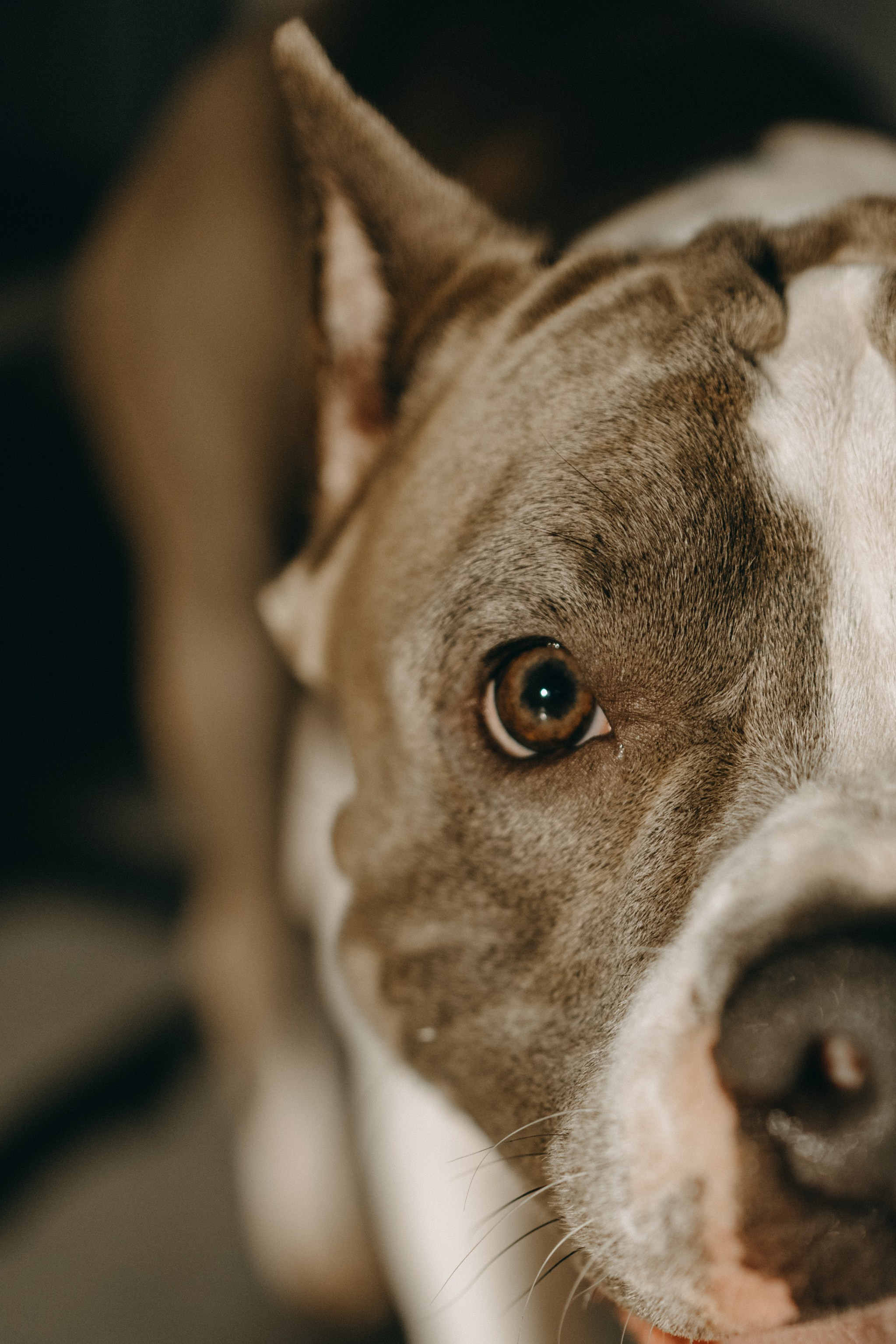 Саша и Кракен. Фотограф — Анималист | Санкт-Петербург