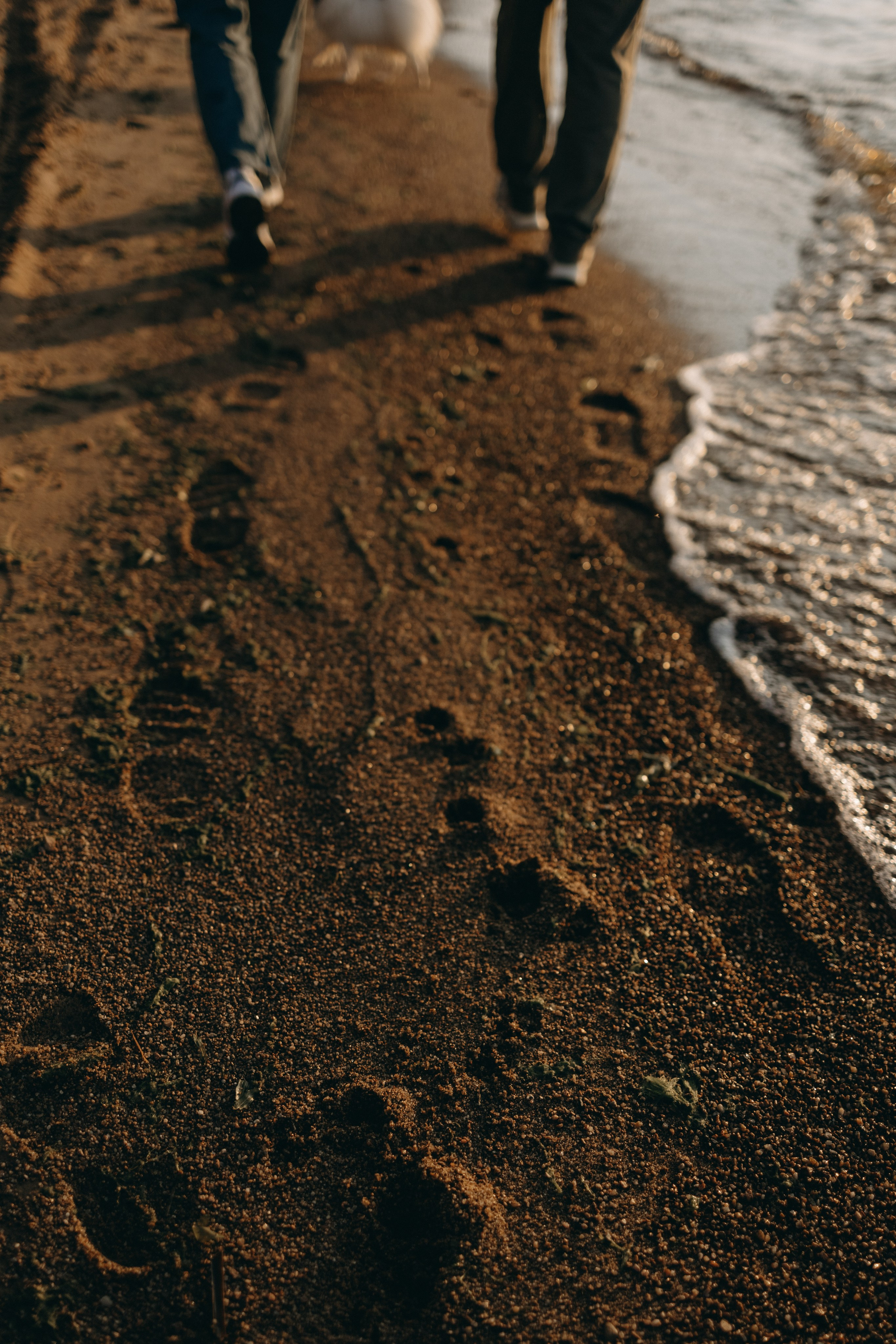 Диана и ее мальчики. Фотограф — Анималист | Санкт-Петербург
