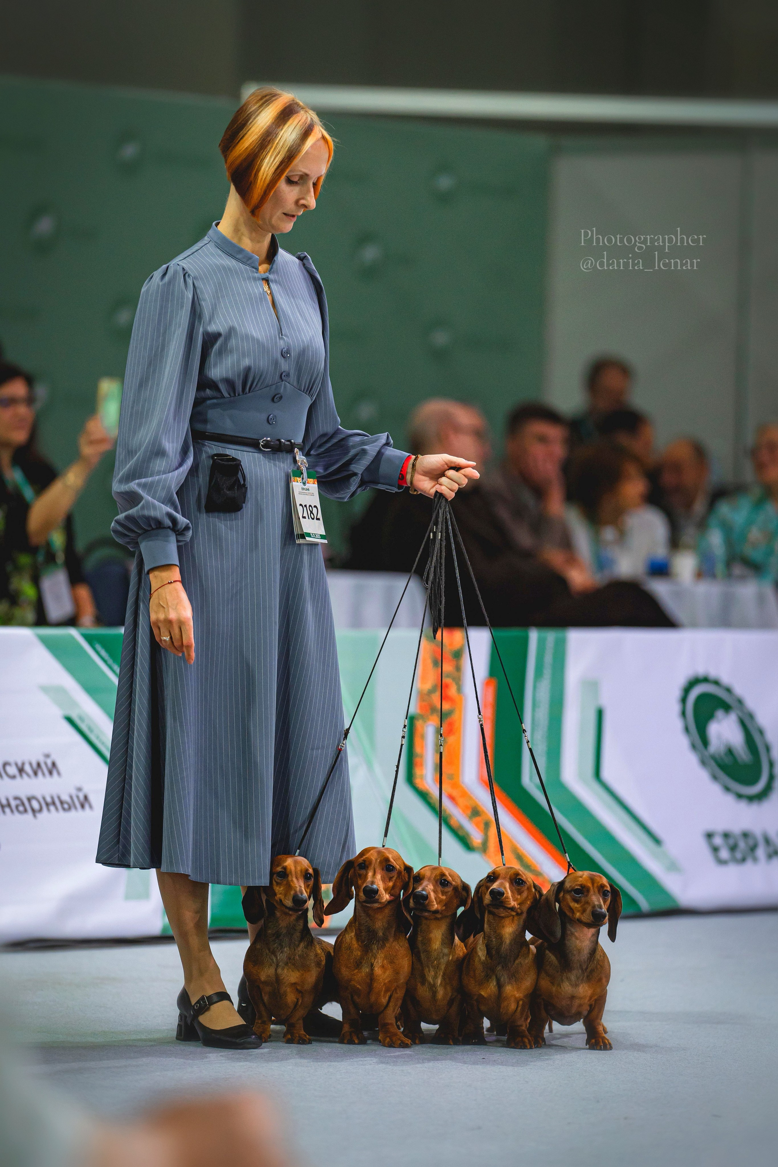 Выставки собак. Фотограф в Москве Ленарская Дарья