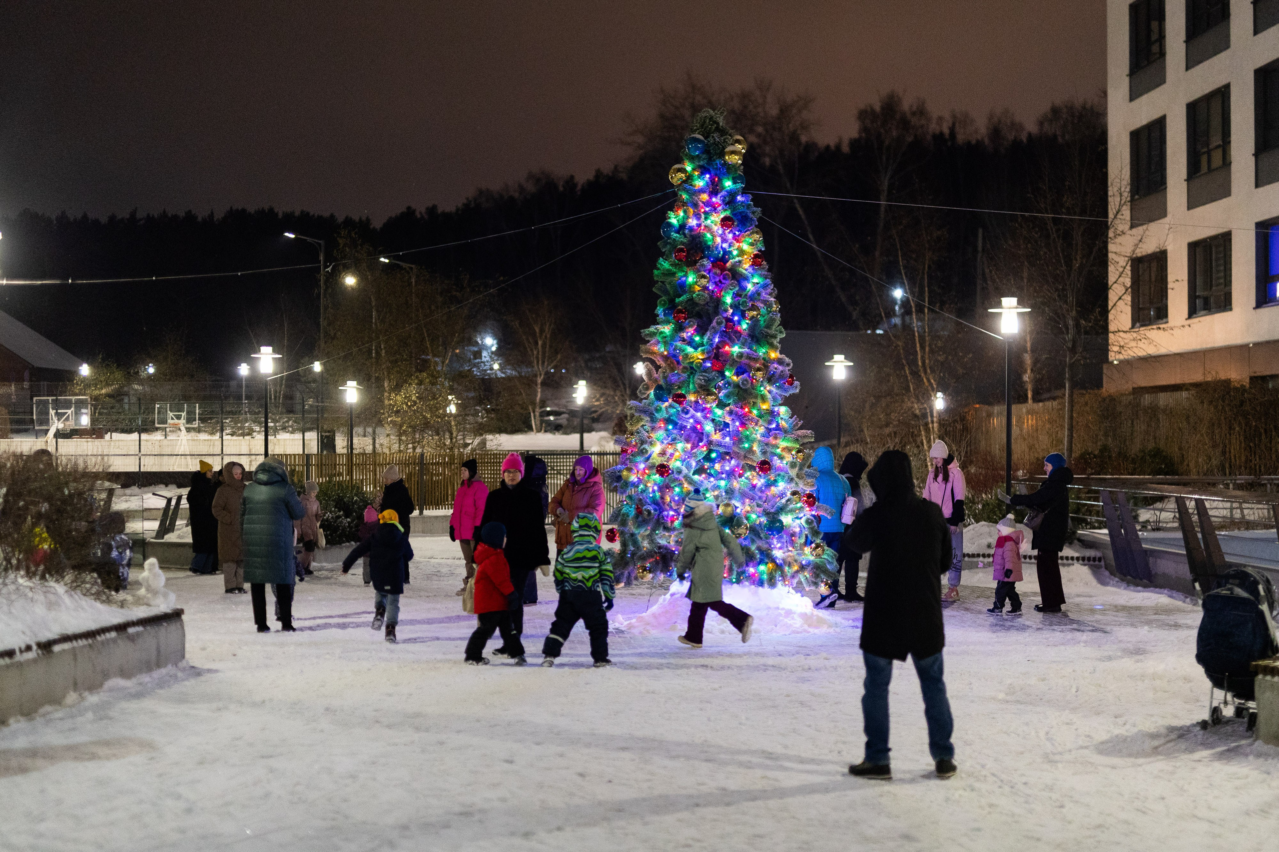 Елка у «Брусники» на Щербакова. Фотограф Родион Нарудинов