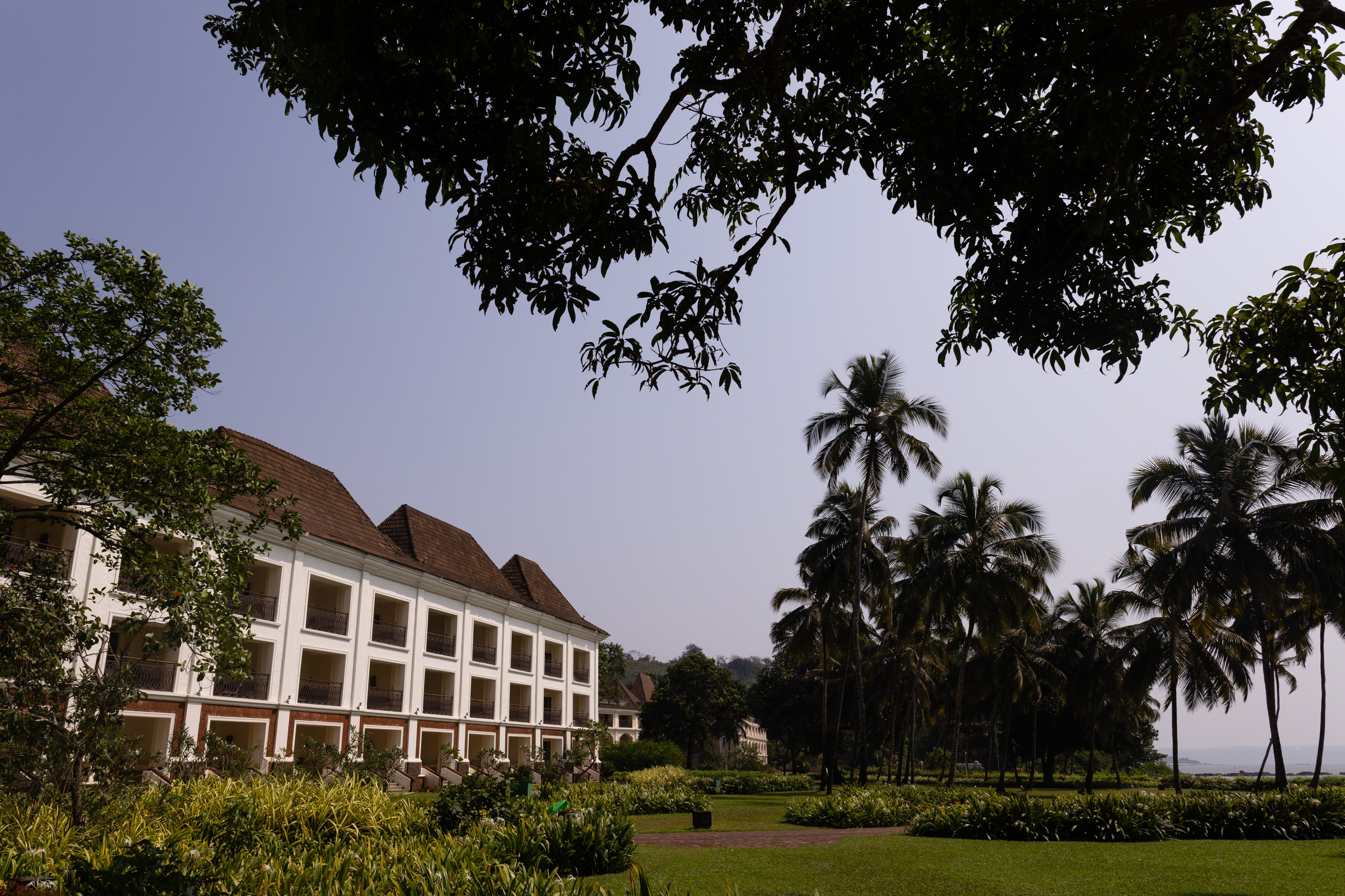 ГОА 2024. Руслан Плахтеев