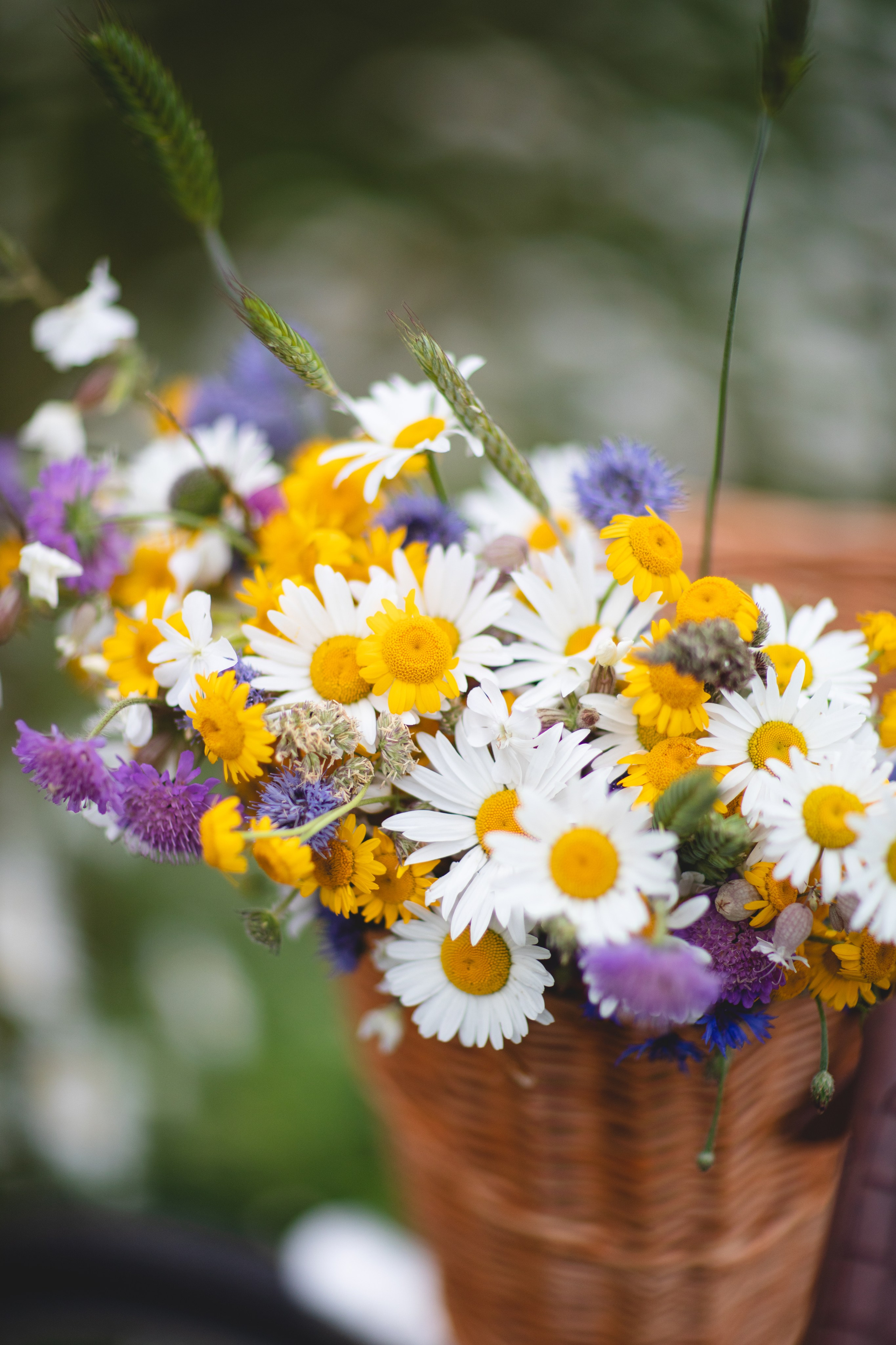 Фототуур «Край озёр» Лето. Семейный фотограф в Москве Анастасия Гурьянова