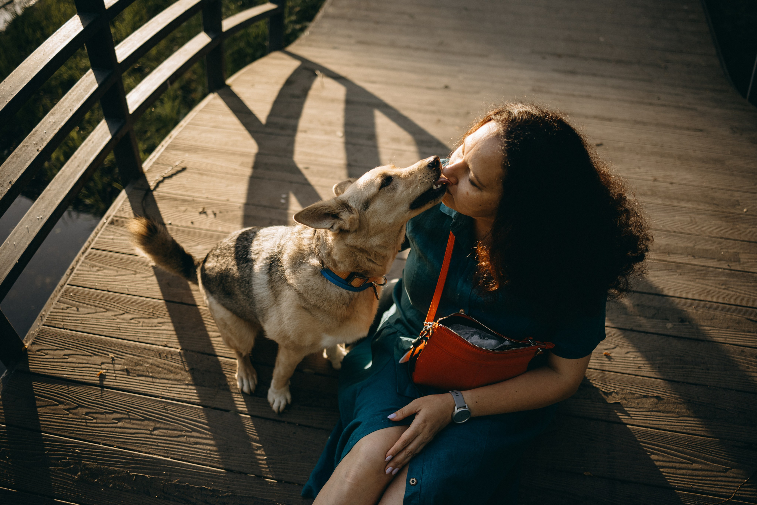 Татьяна, Сергей и их Булочка и Пончик. Фотограф — Анималист | Санкт-Петербург