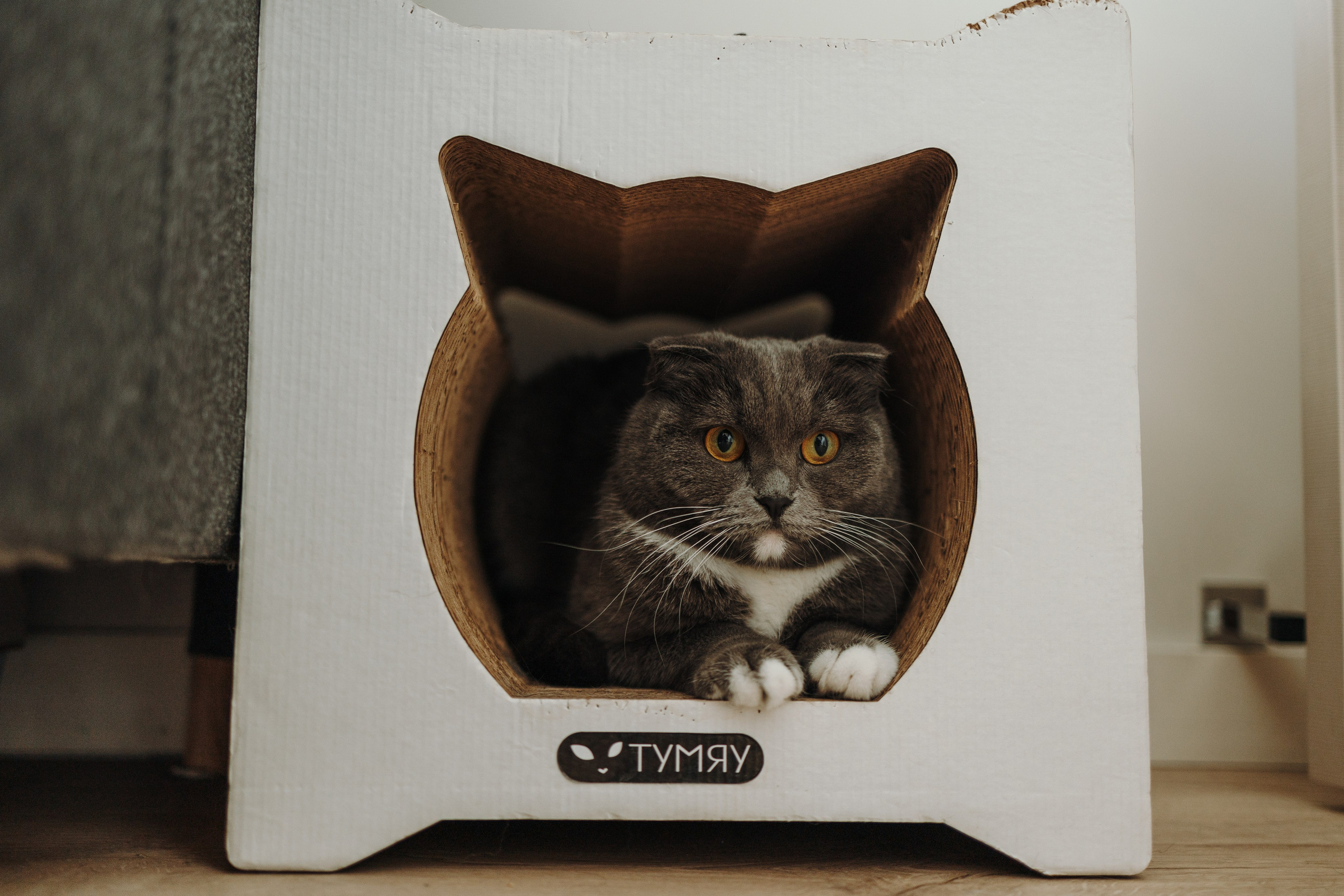 Таня и ее семья. Фотограф — Анималист | Санкт-Петербург