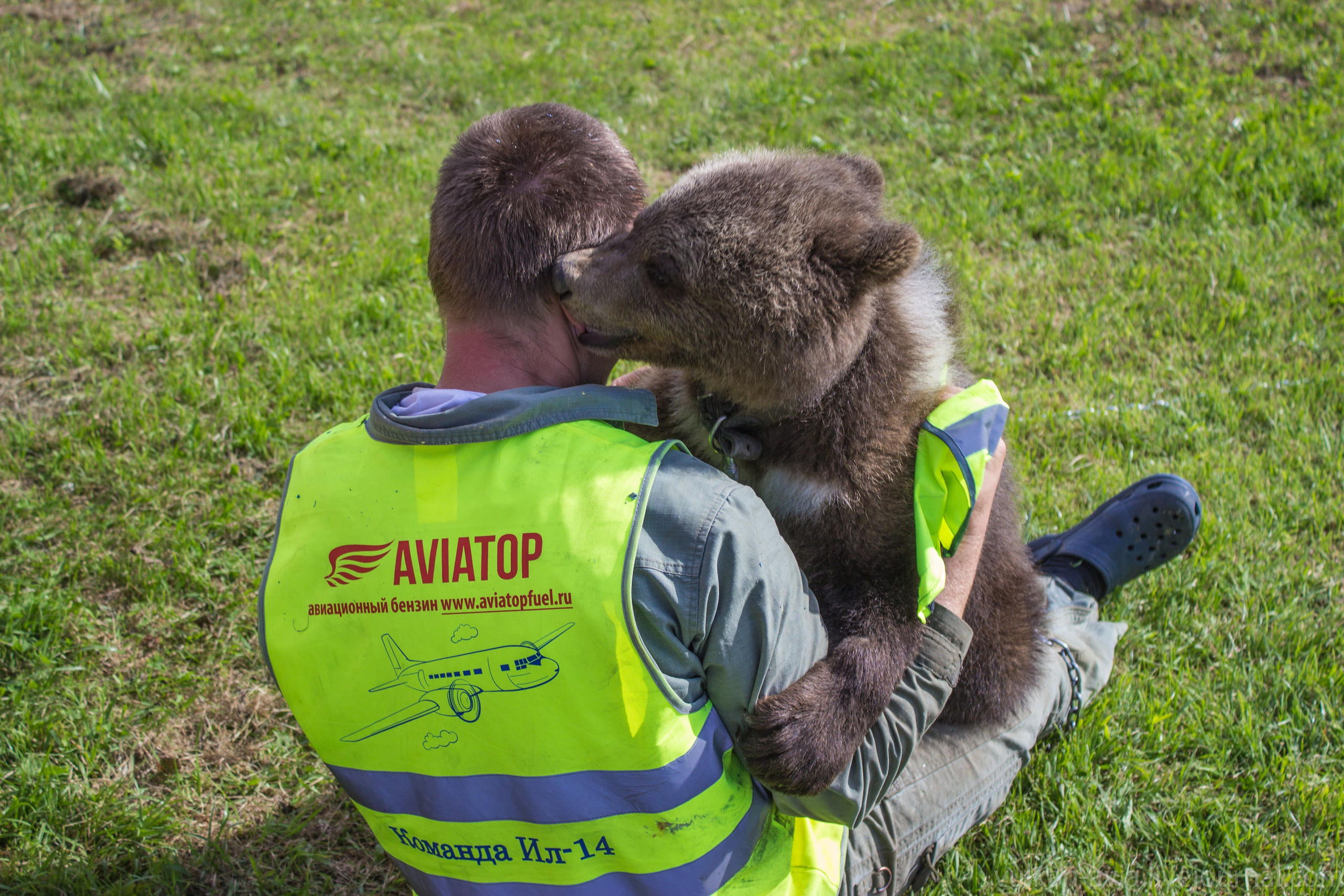 Медведь Мансур. Фотоальбом показывающий увлекательный мир авиации и мир медведей Андрея Иванова