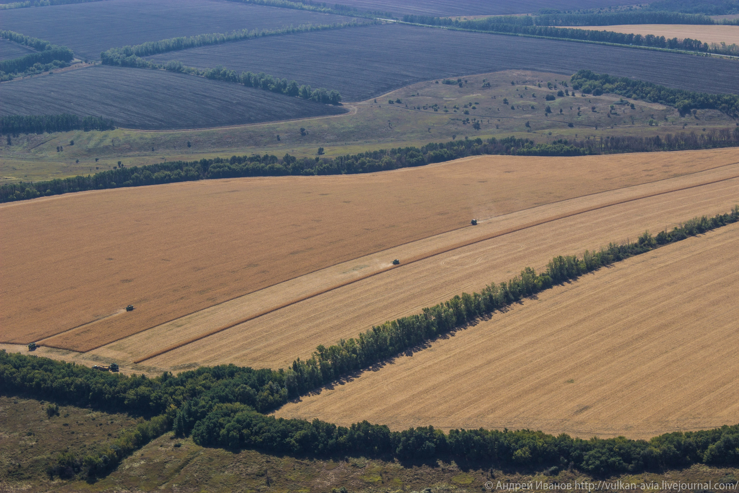 Волгодонск аэр. Потапов слёт «Небо для всех» (2021 г.). Фотоальбом показывающий увлекательный мир авиации и мир медведей Андрея Иванова